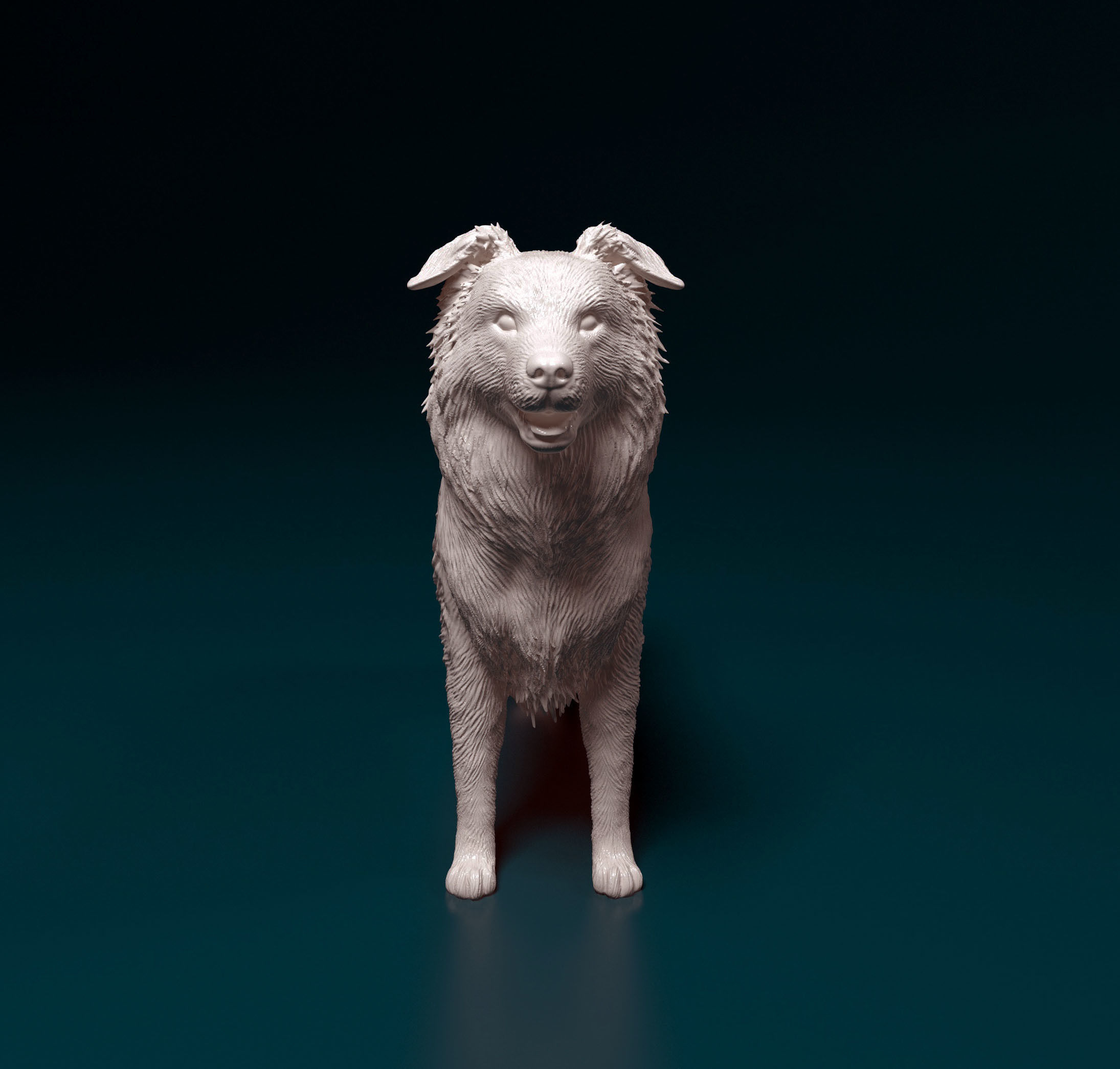 Border Collie 3D print model_6