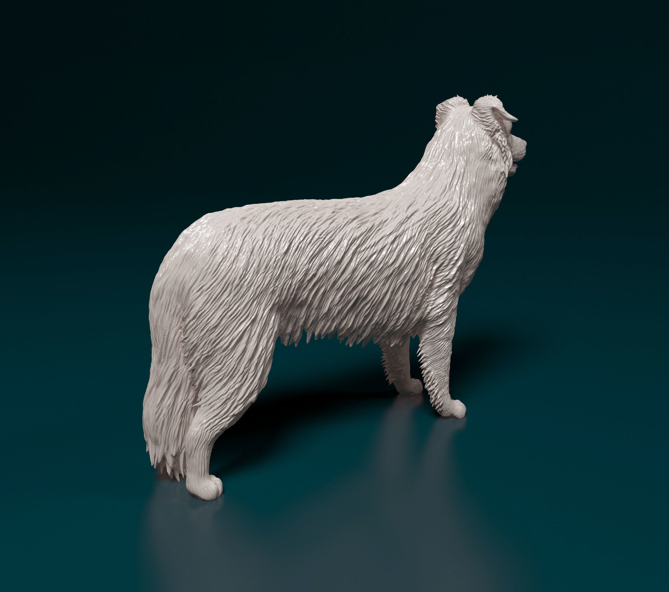 Border Collie 3D print model_2