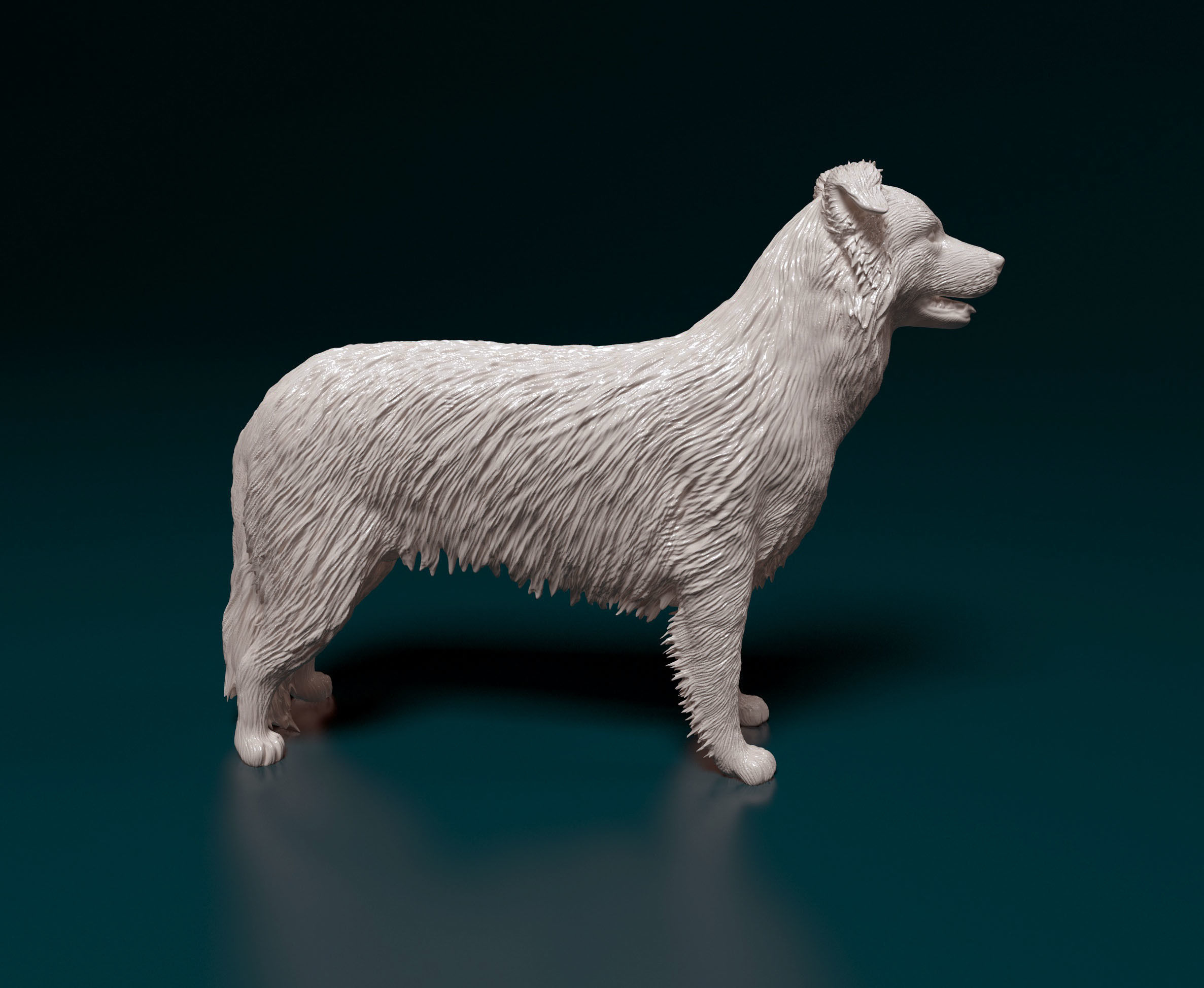 Border Collie 3D print model_1