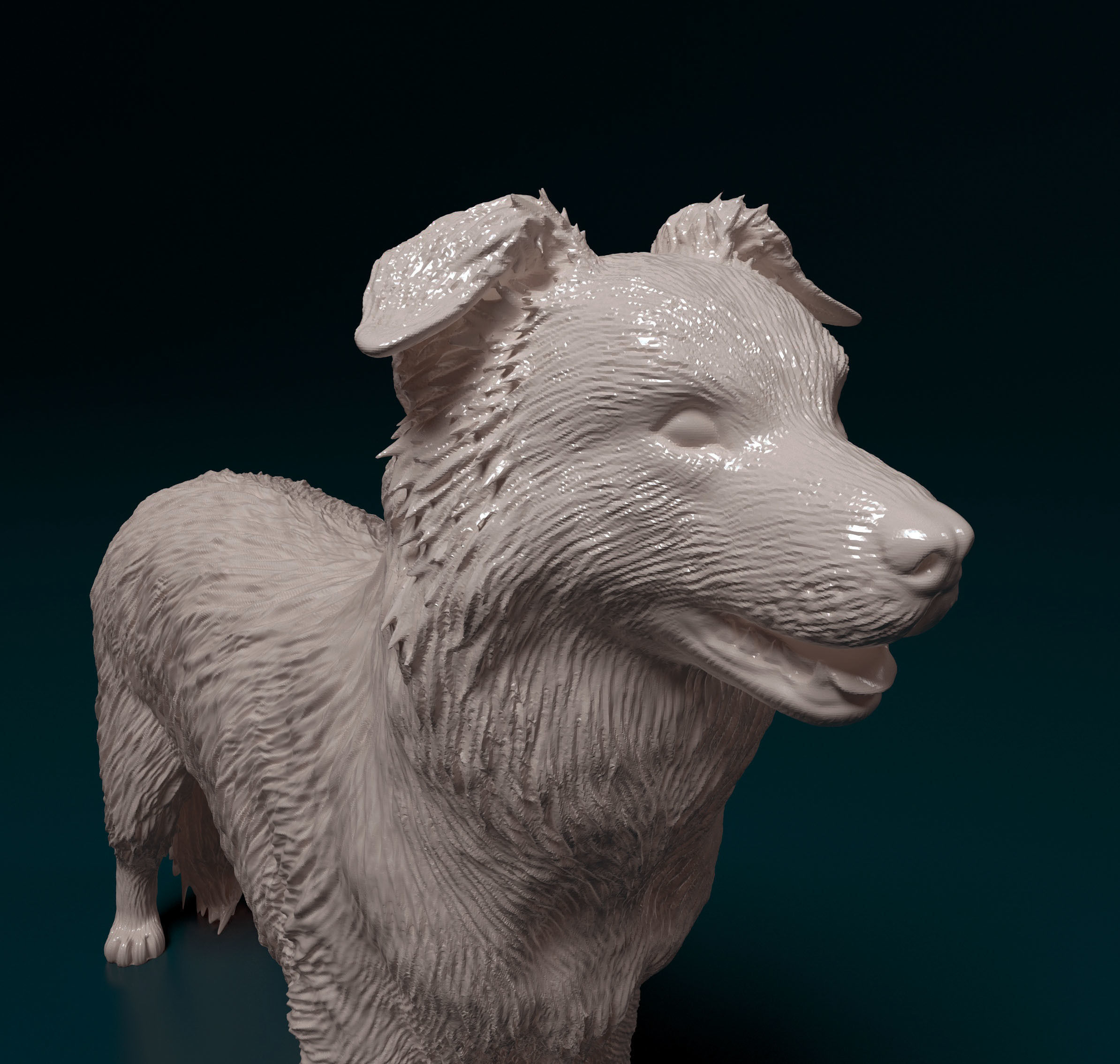 Border Collie 3D print model_7