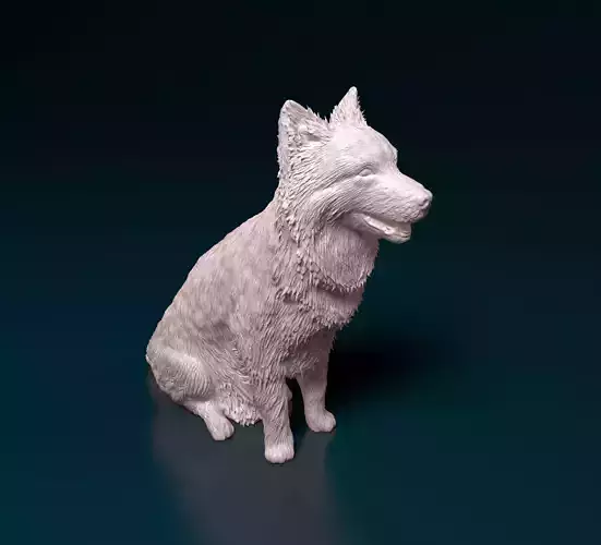 Border Collie 3D print model