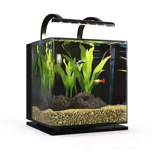 Contour Desktop MarineLande Aquarium