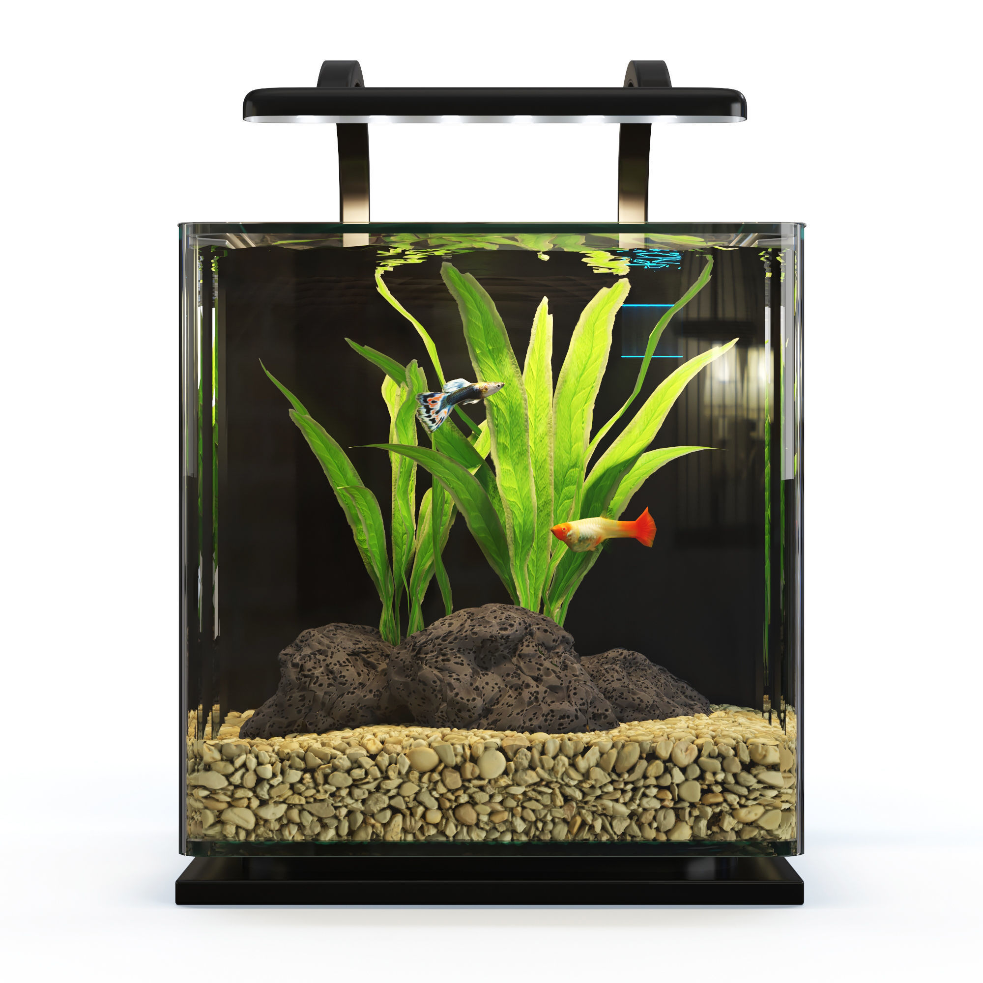 Contour Desktop MarineLande Aquarium 3D model_1