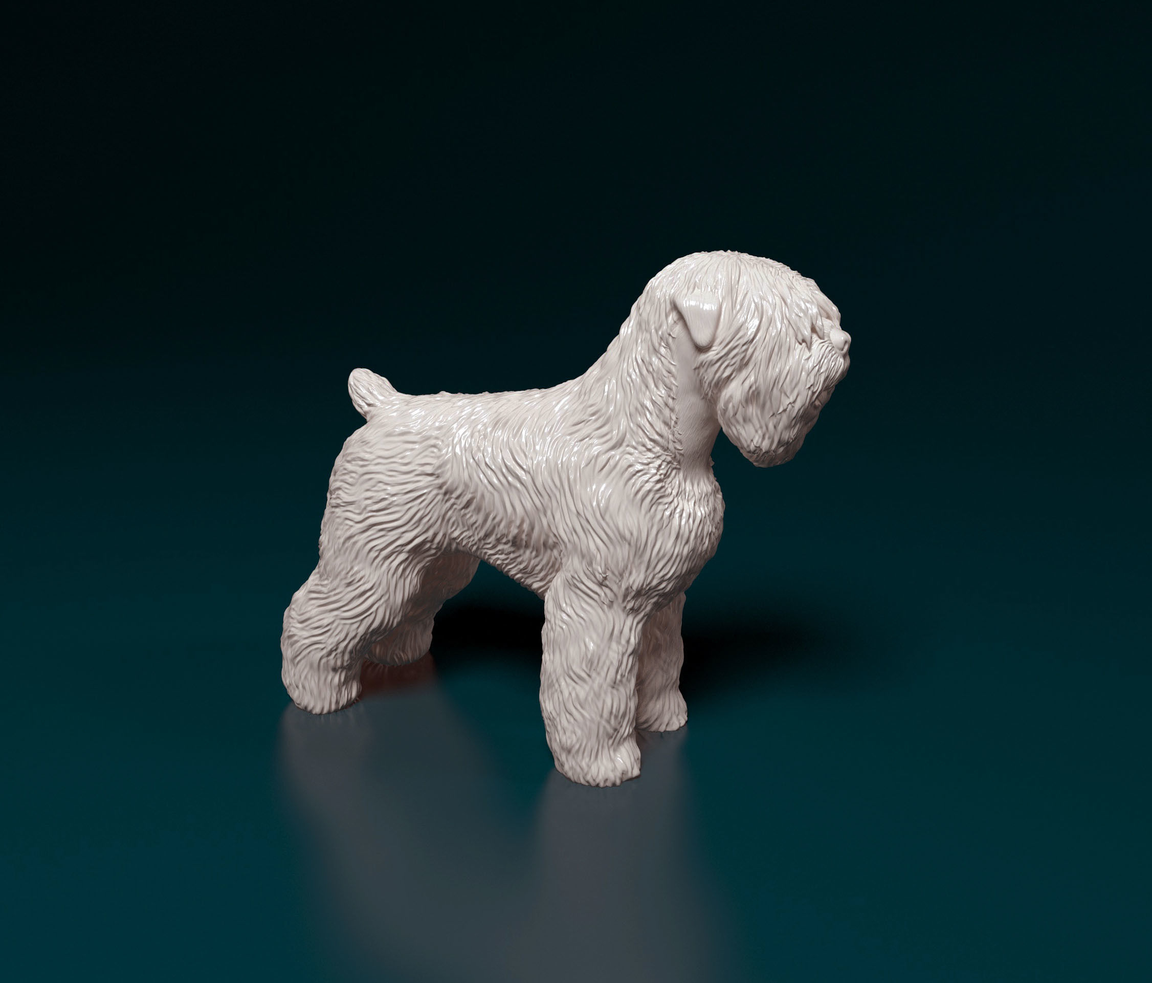 Black russian terrier 3D print model_3
