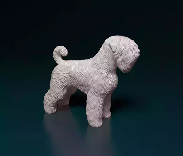 Black russian terrier 3D print model