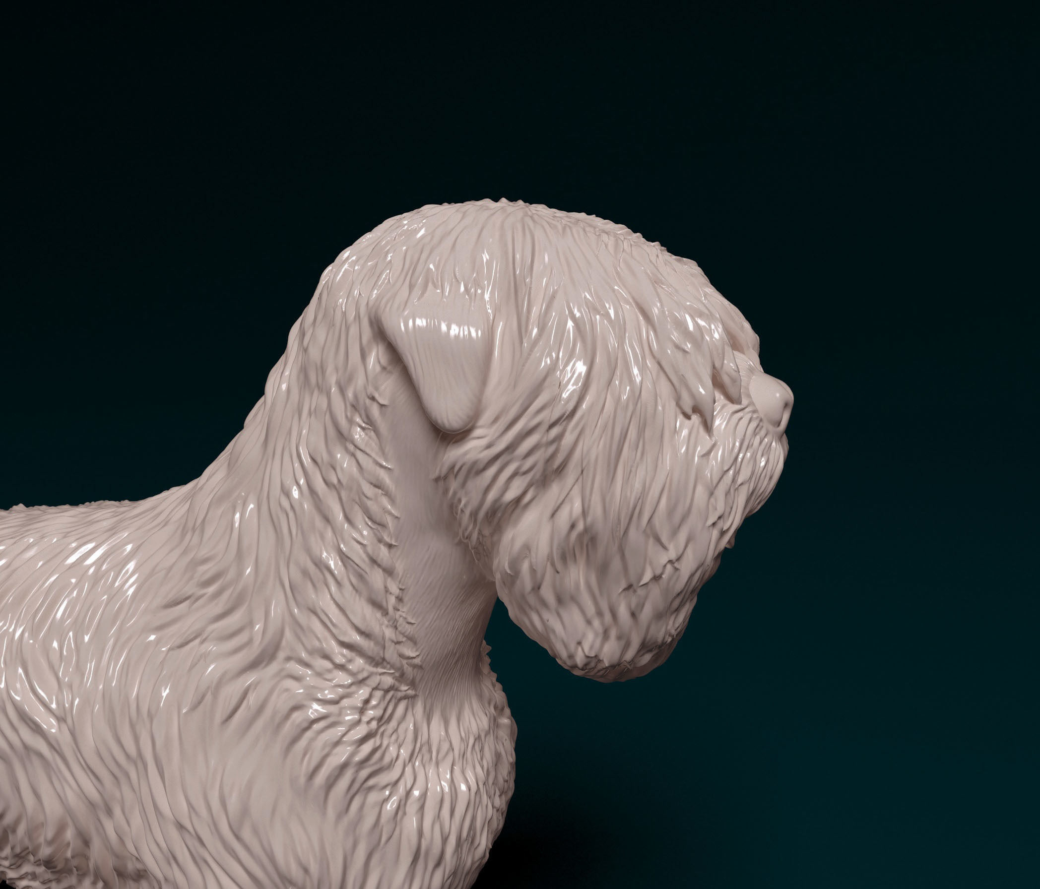 Black russian terrier 3D print model_2