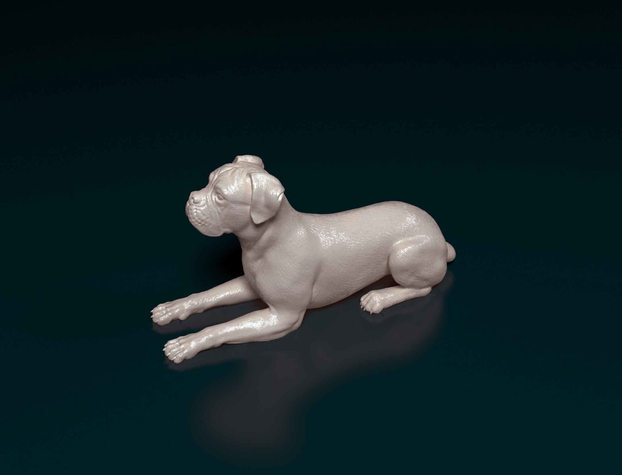Boxer dog 3D print model_4