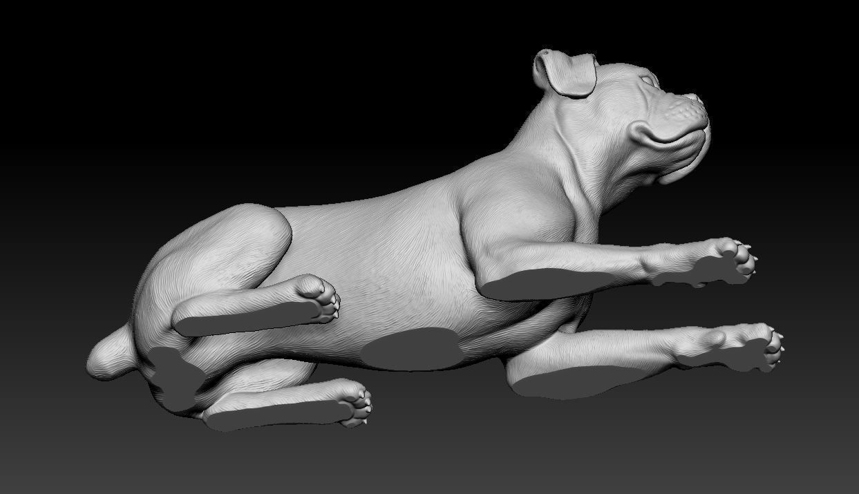 Boxer dog 3D print model_7