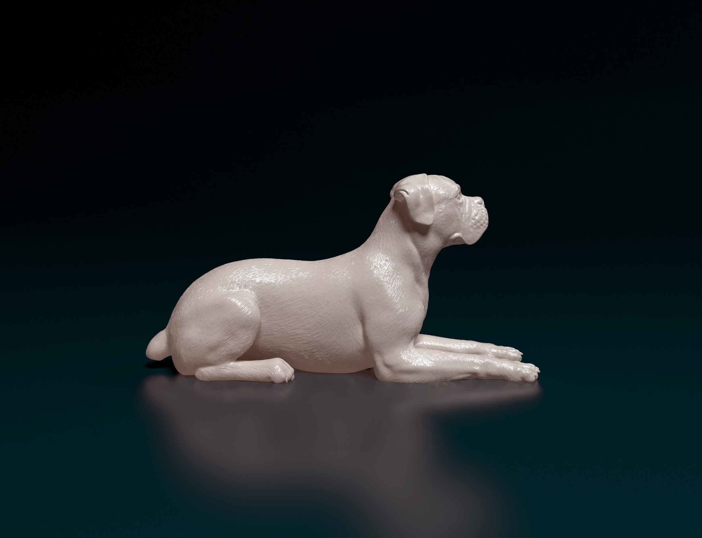 Boxer dog 3D print model_1