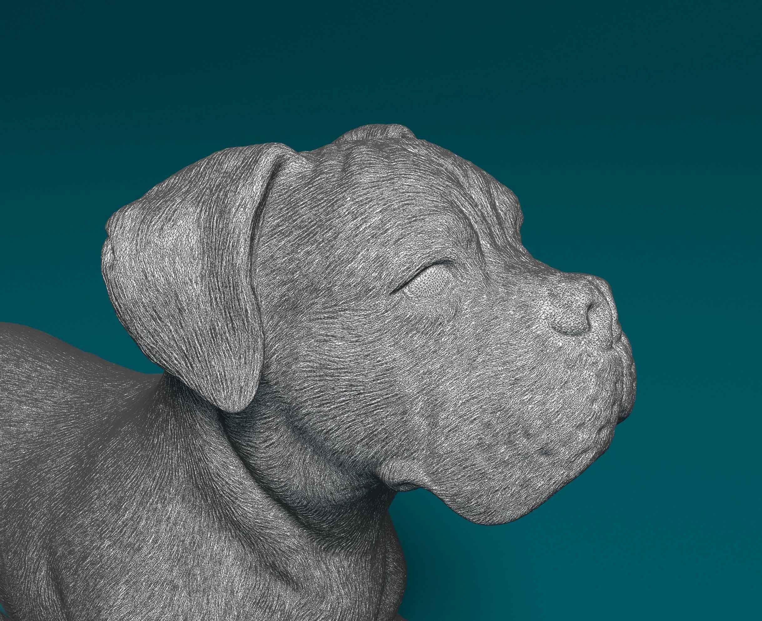 Boxer dog 3D print model_6