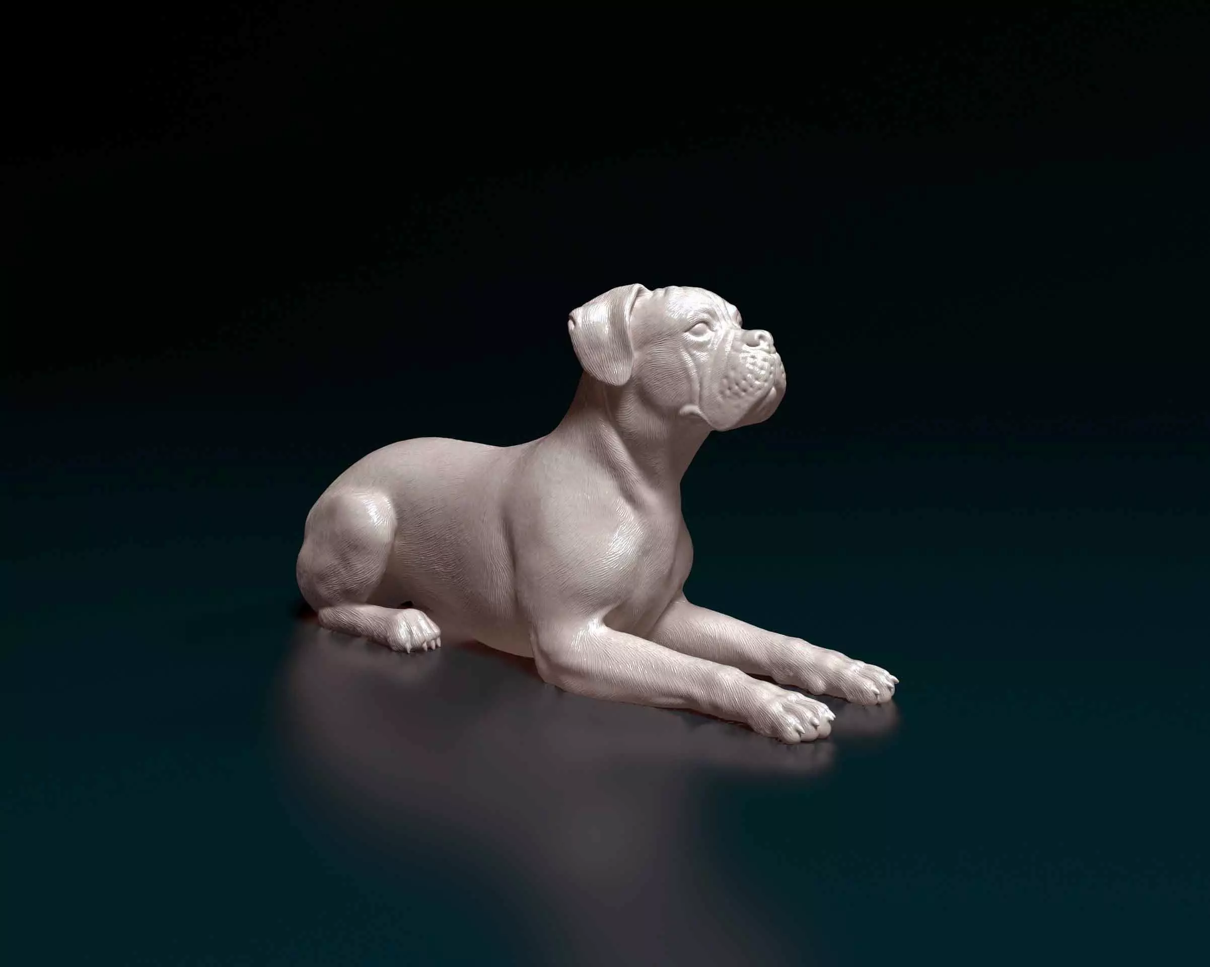 Boxer dog 3D print model_0
