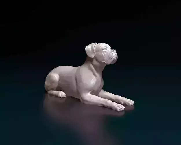 Boxer dog 3D print model