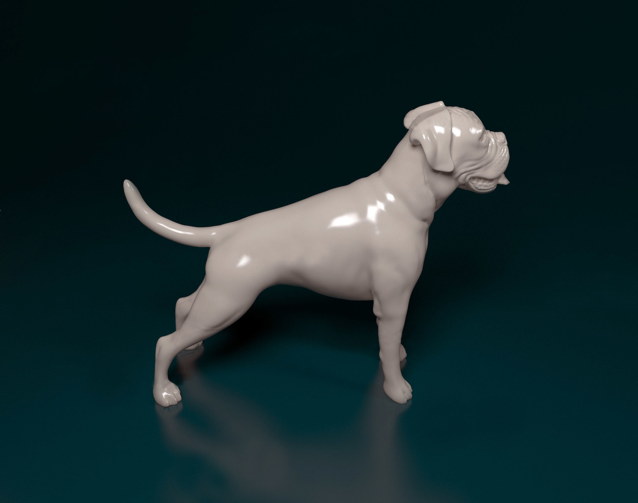 Boxer dog 3D print model_1