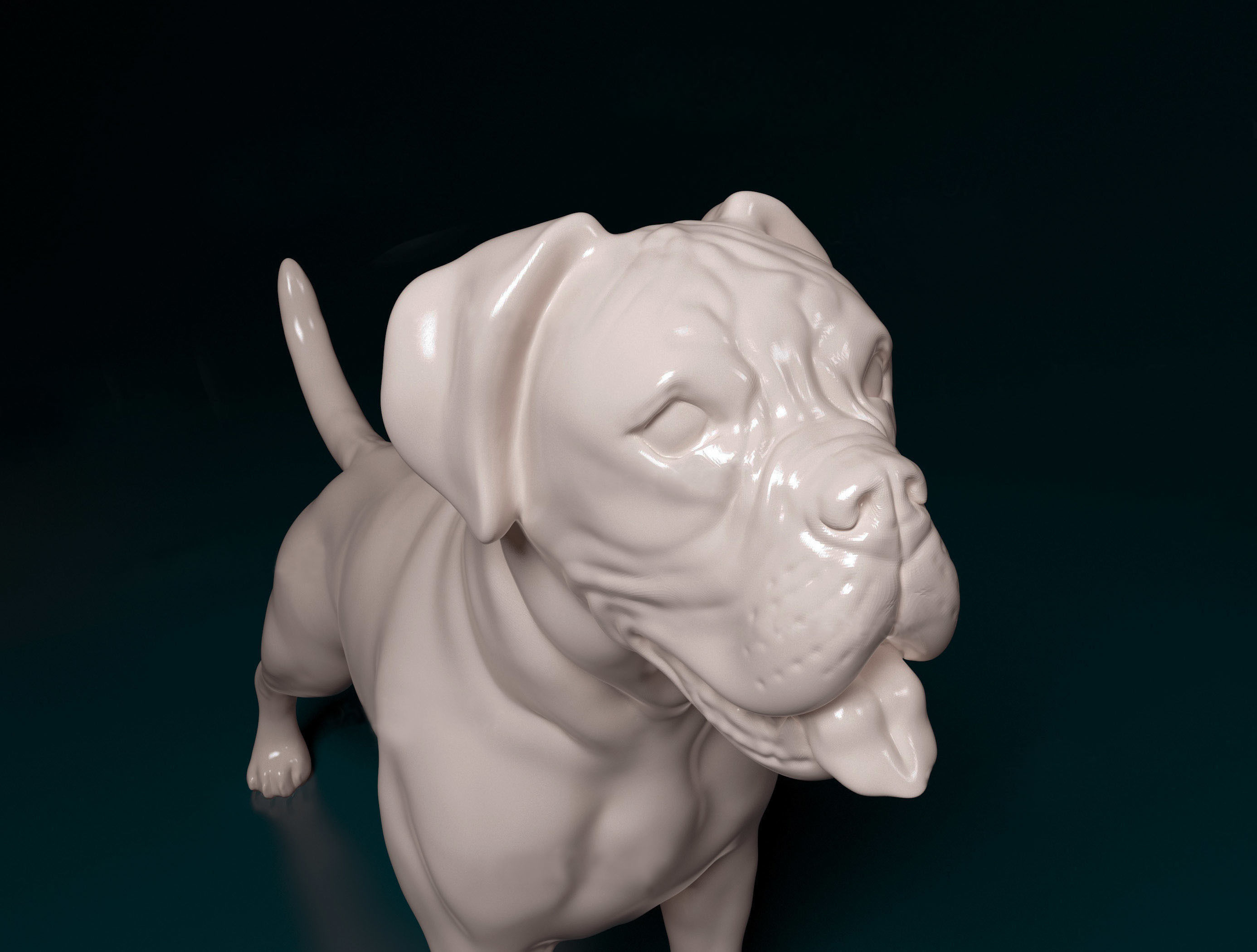 Boxer dog 3D print model_6