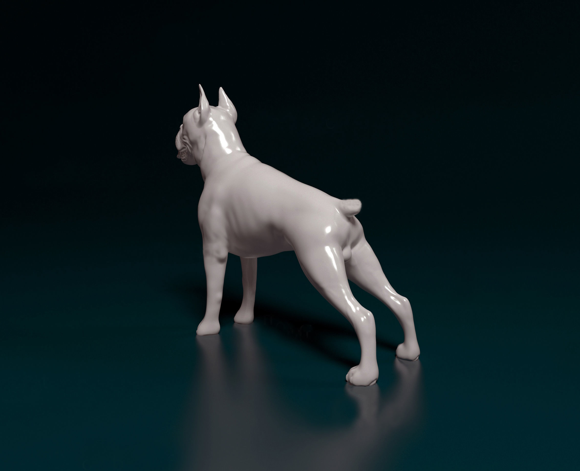 Boxer dog 3D print model_3
