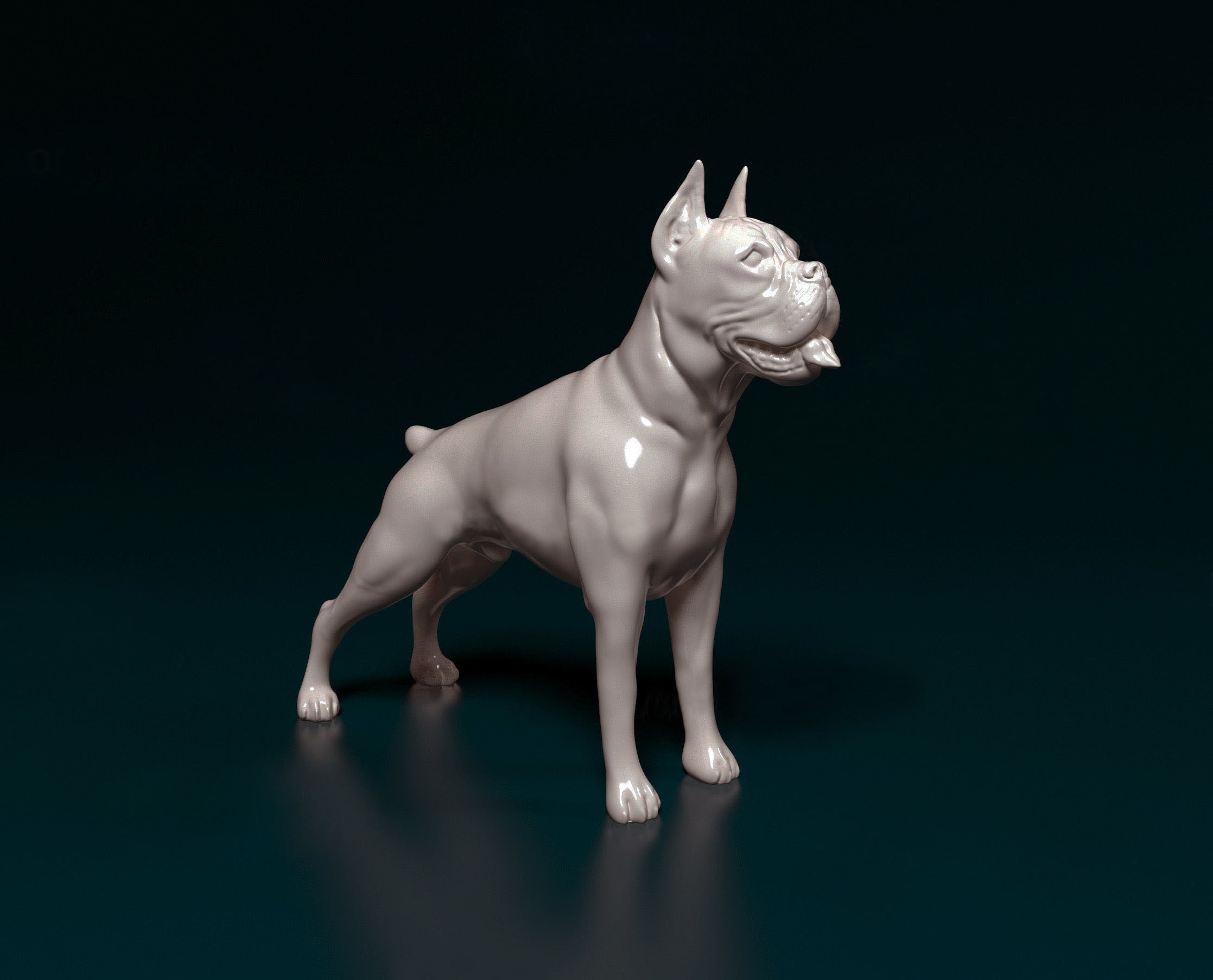 Boxer dog 3D print model_2