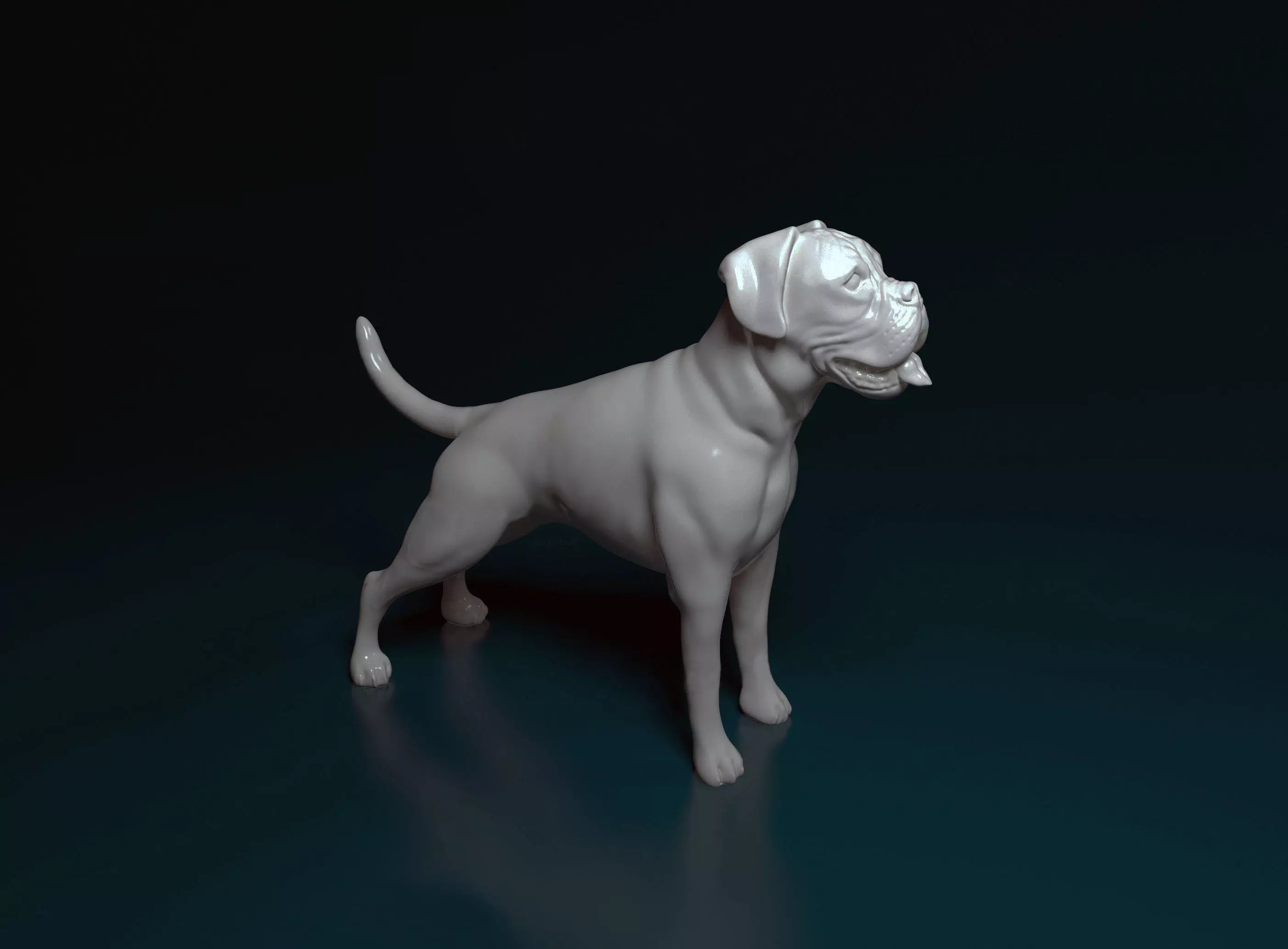 Boxer dog 3D print model_0