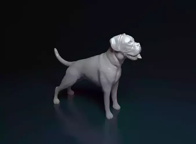 Boxer dog 3D print model