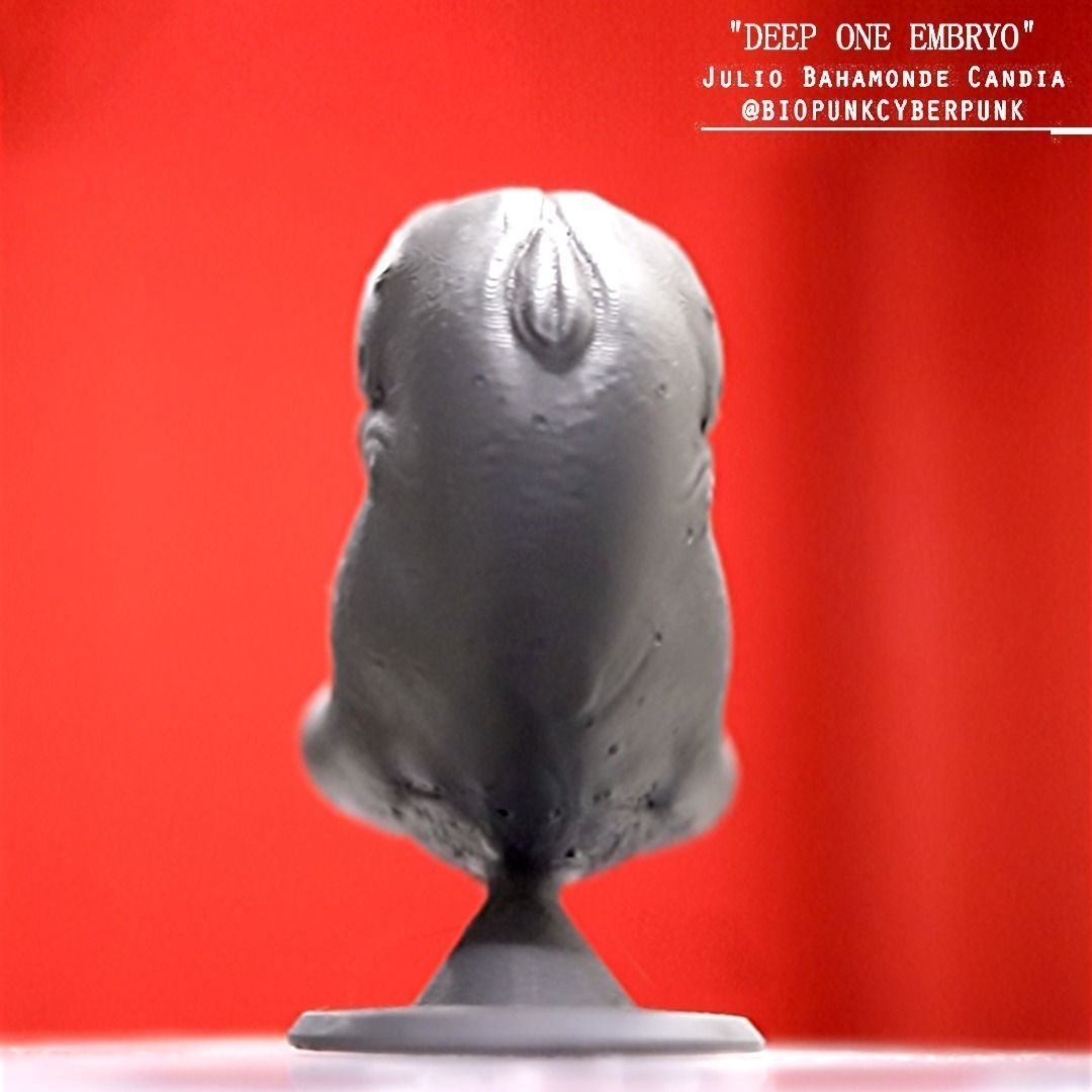3D PRINTABLE HP LOVECRAFT DEEP ONE EMBRYO 3D print model_9