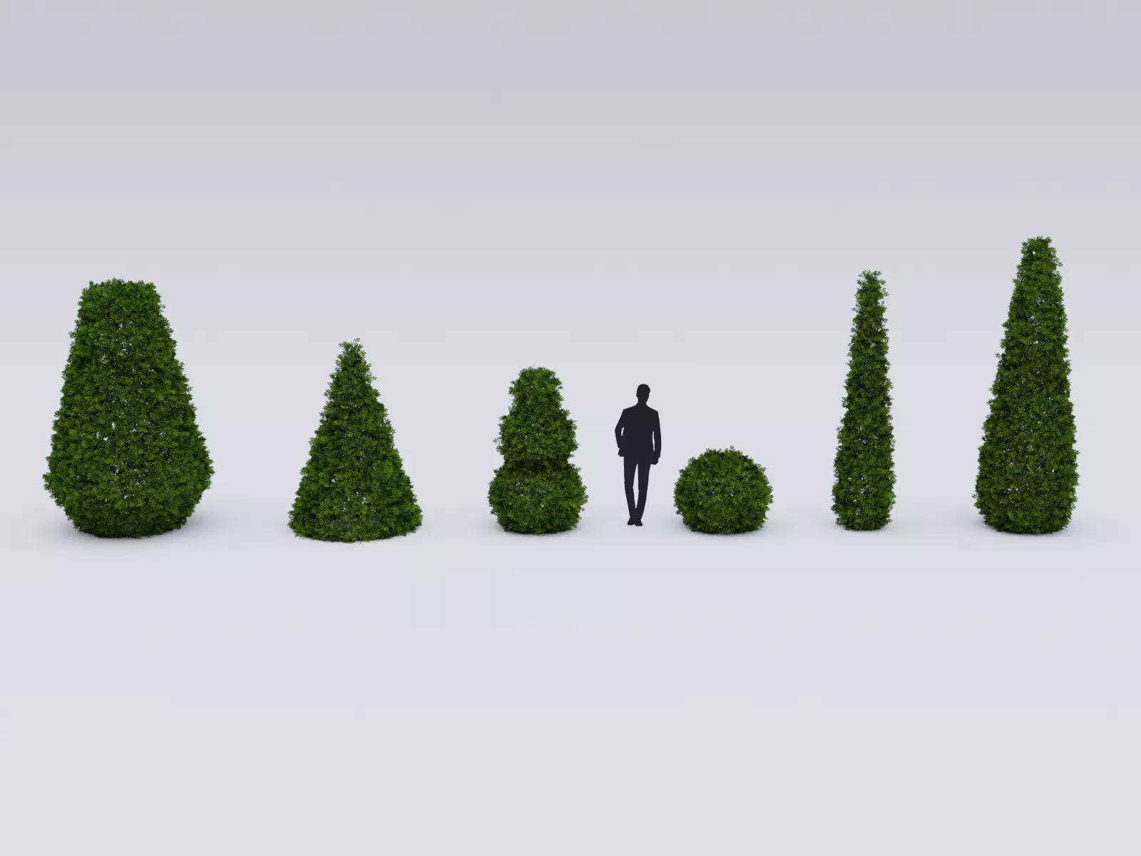 Garden boxwood spherical set v1 Low-poly 3D model_0
