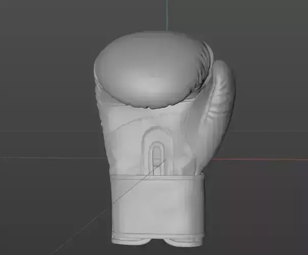 boxing glove