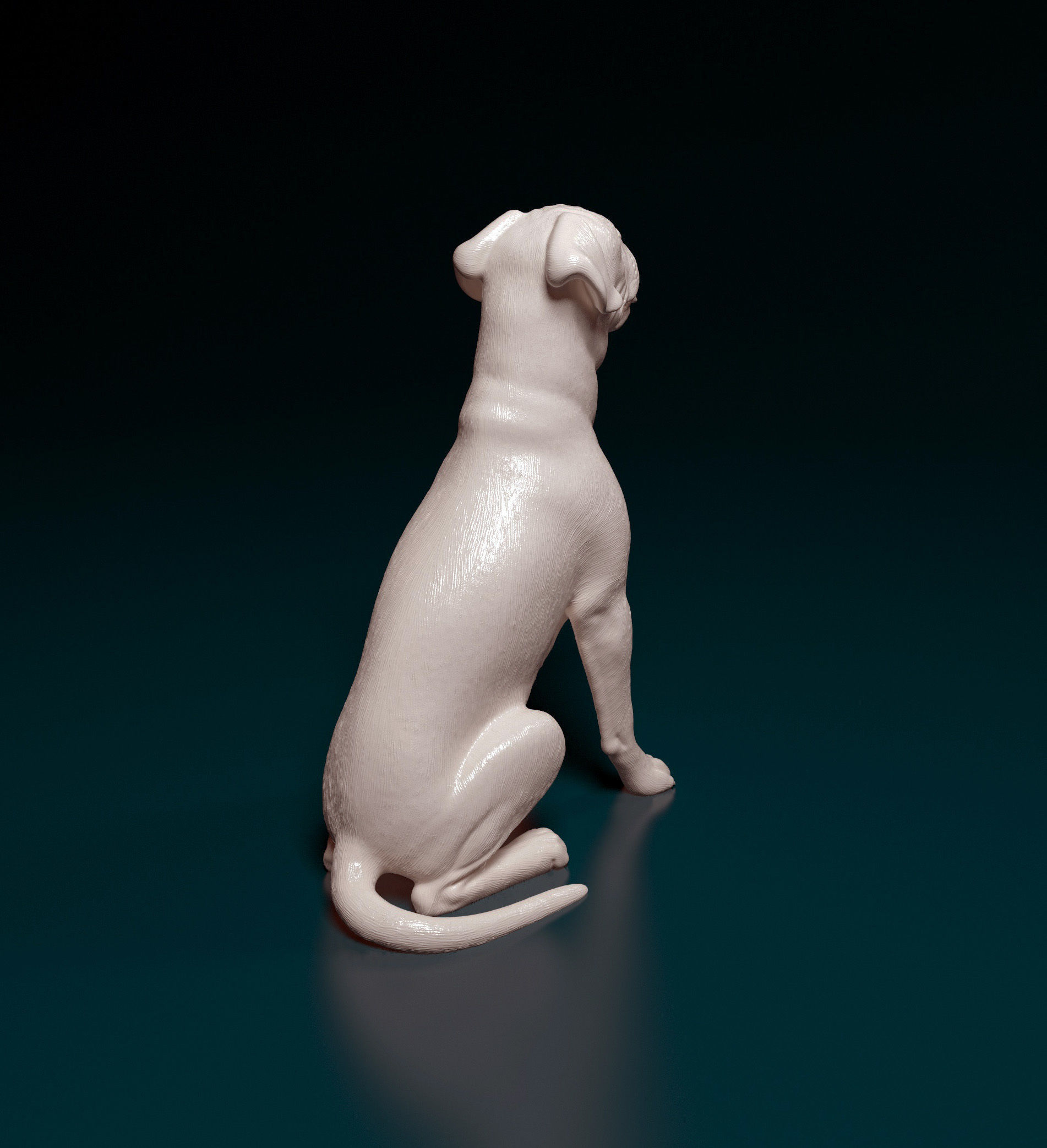 Boxer dog 3D print model_12