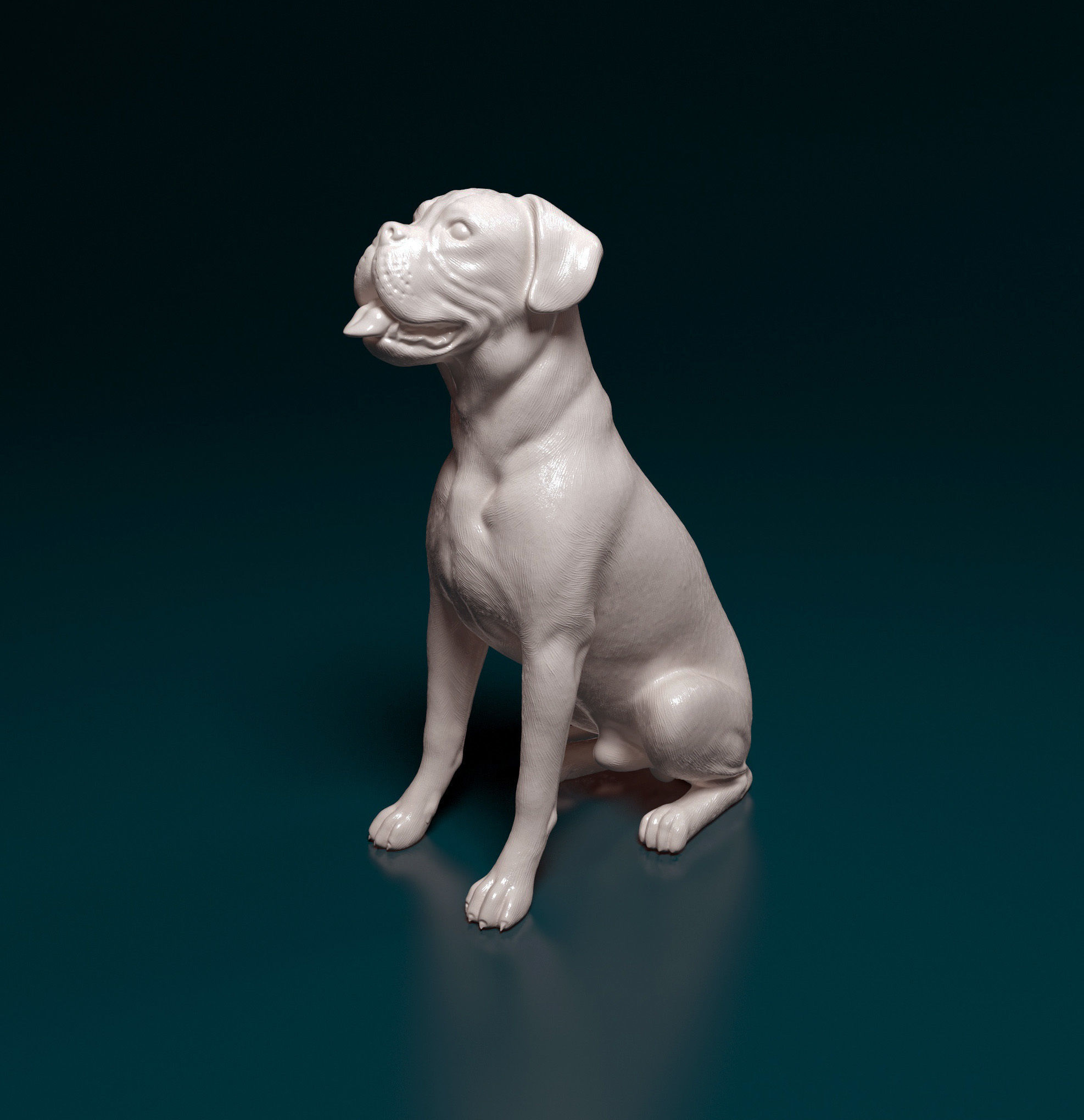 Boxer dog 3D print model_2