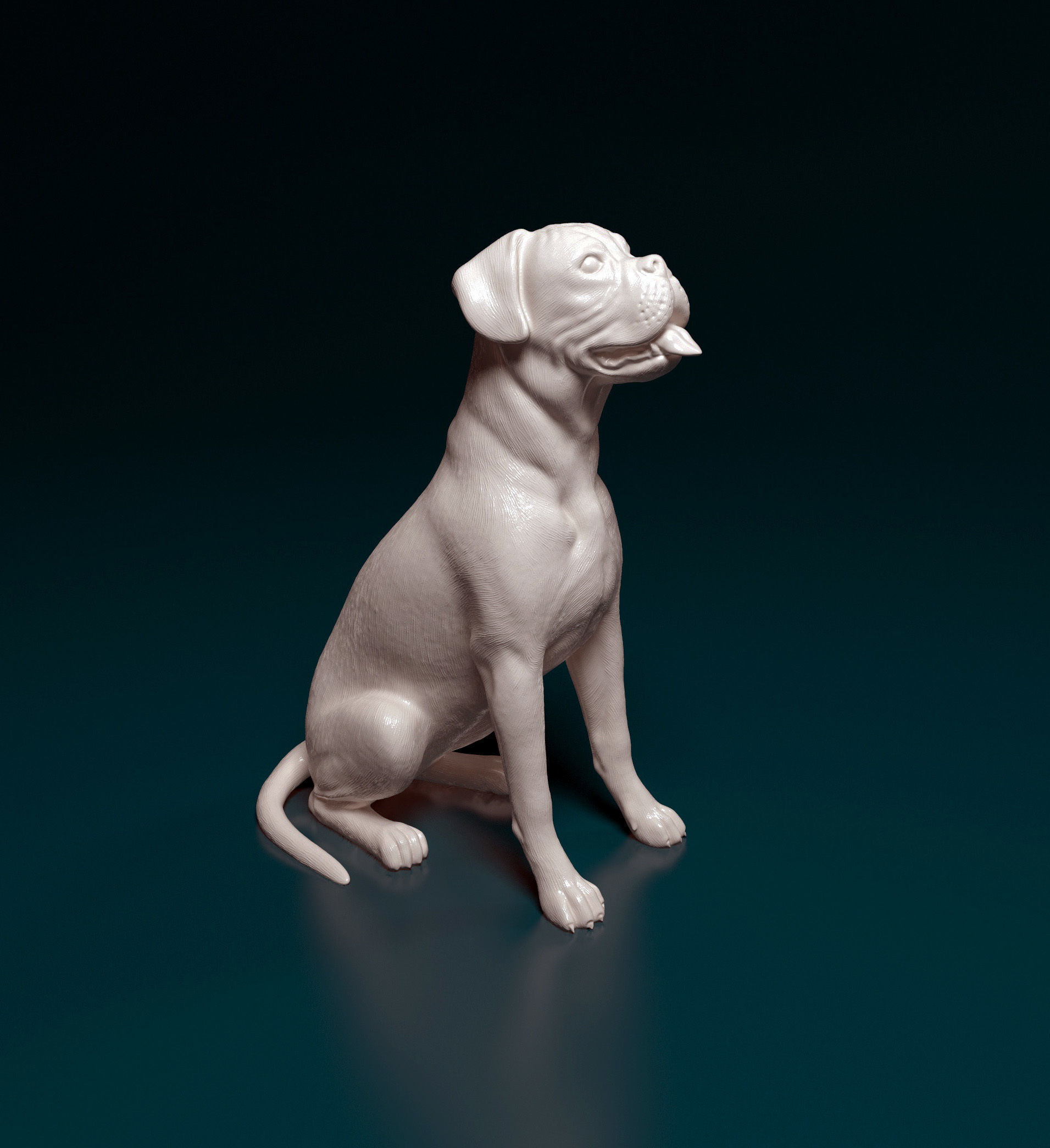 Boxer dog 3D print model_9
