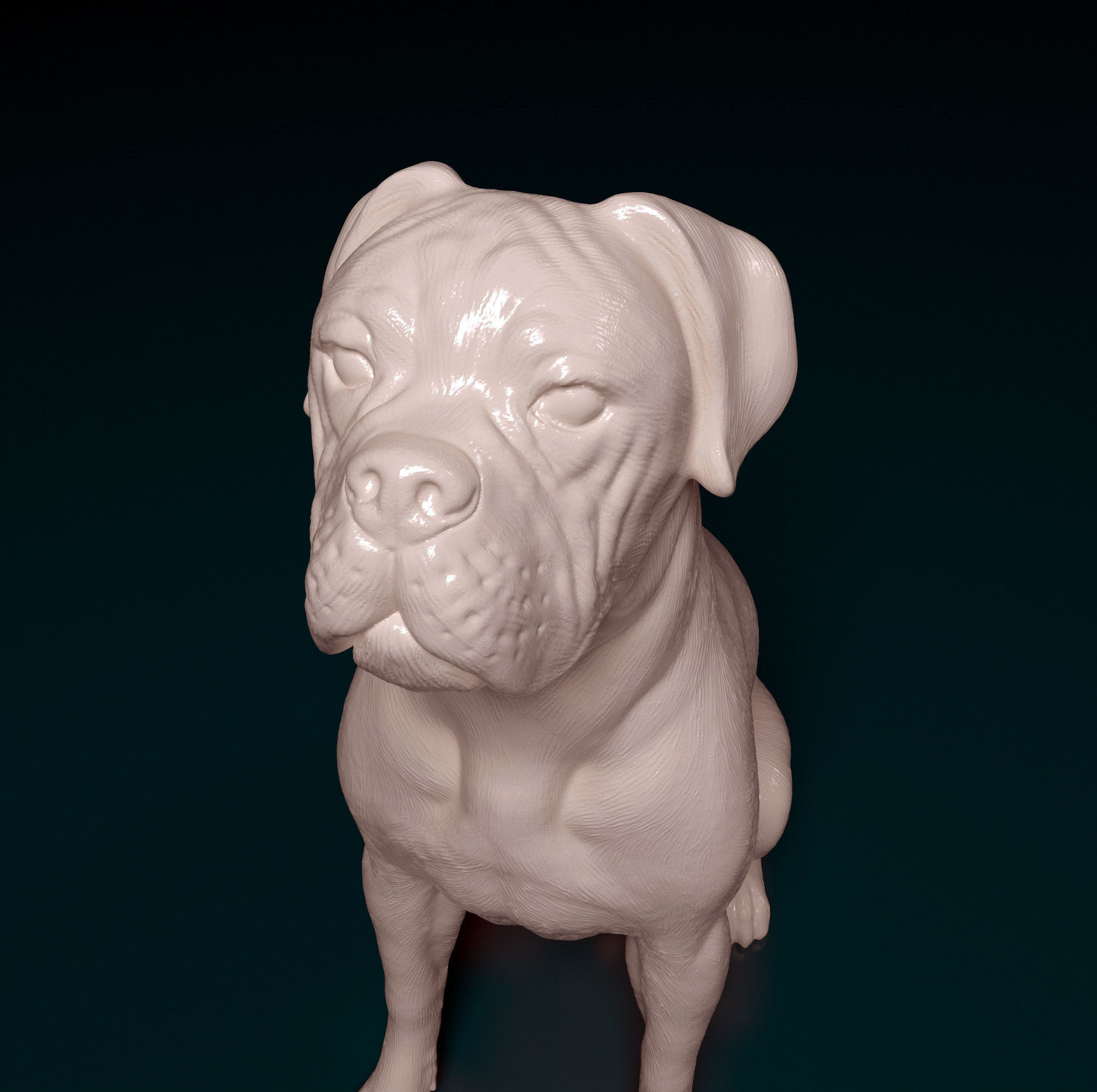 Boxer dog 3D print model_19