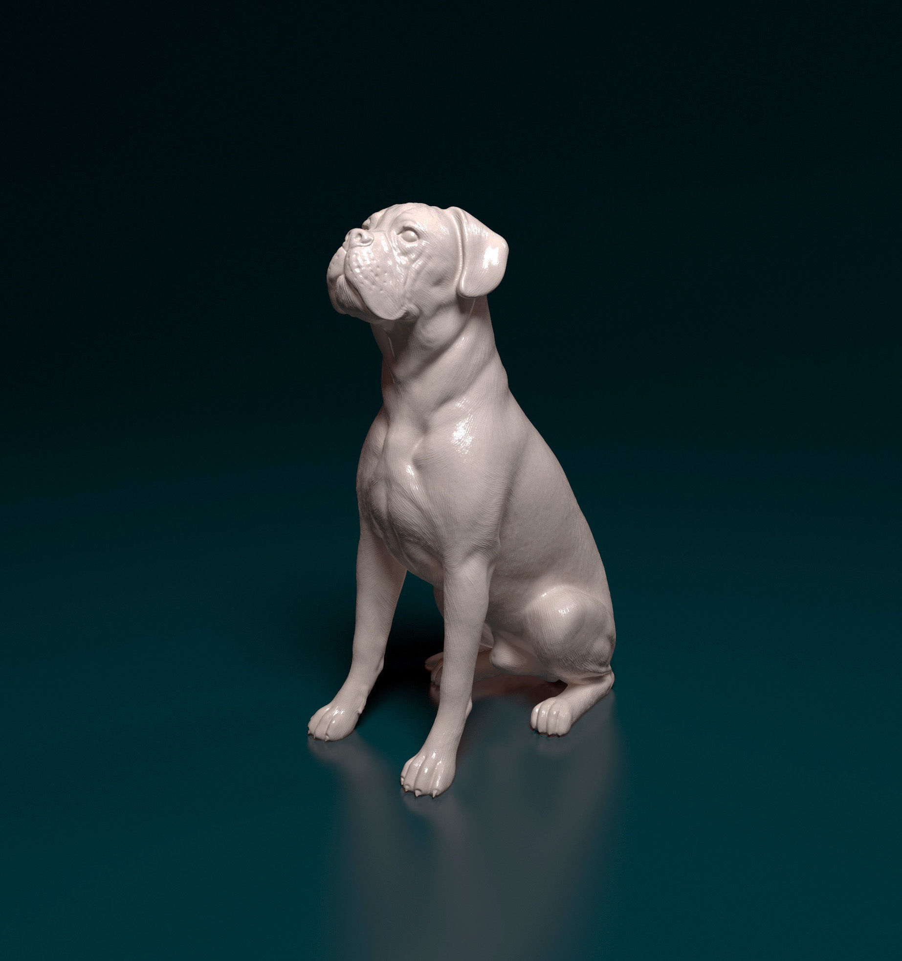 Boxer dog 3D print model_18