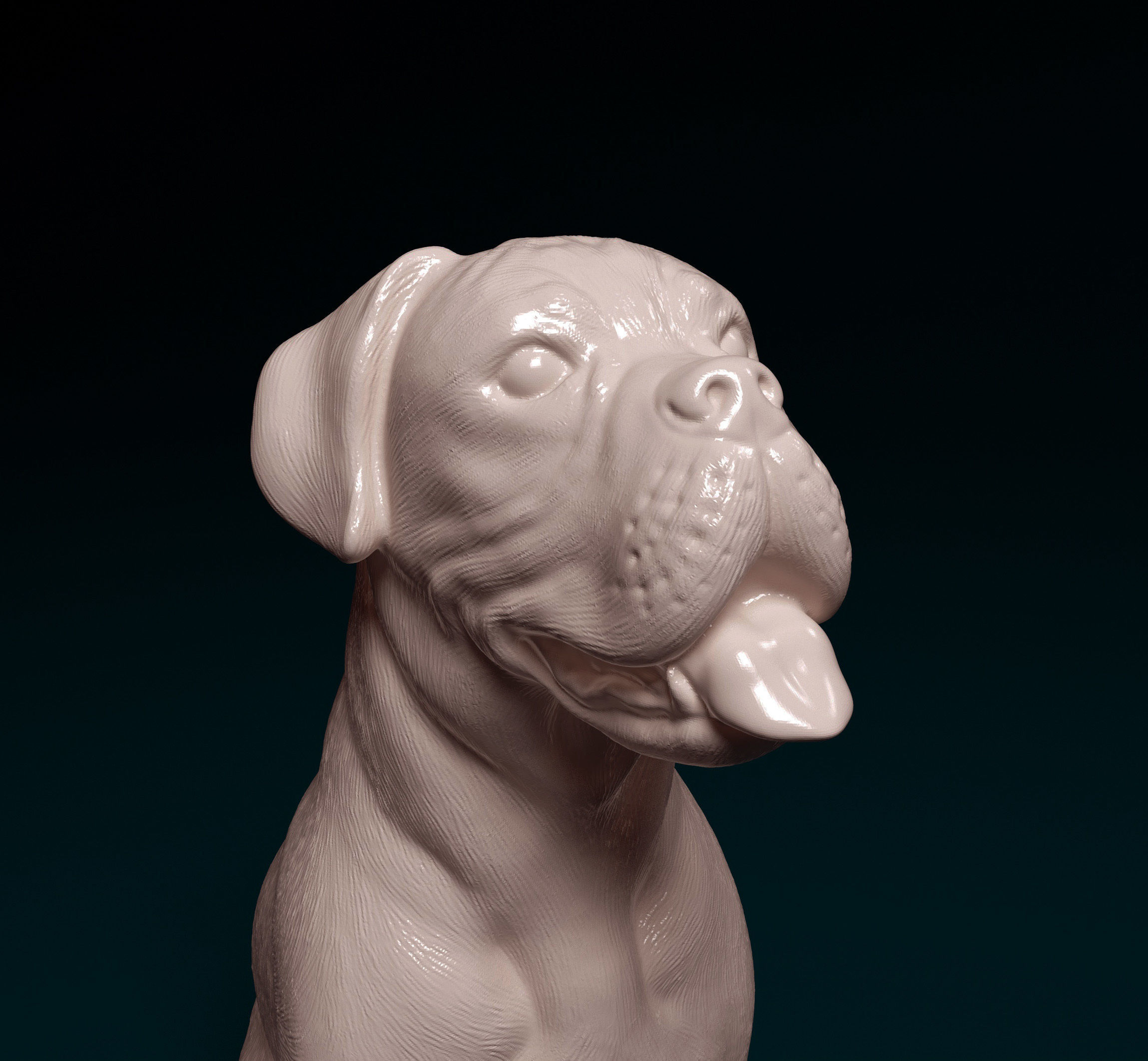 Boxer dog 3D print model_3