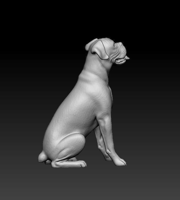 Boxer dog 3D print model_15