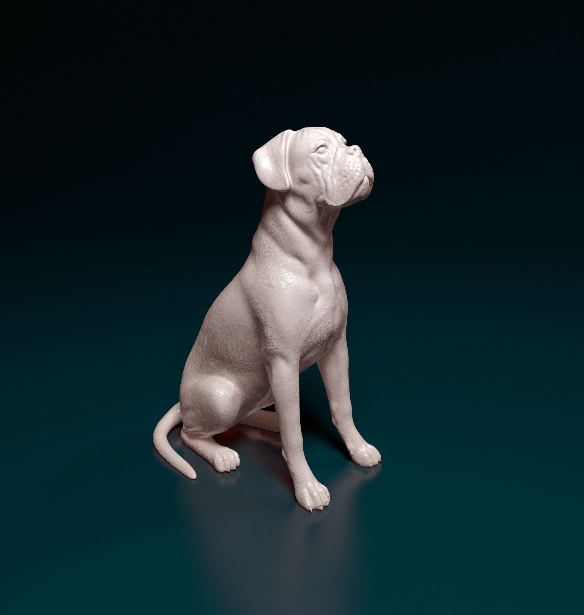 Boxer dog 3D print model_5