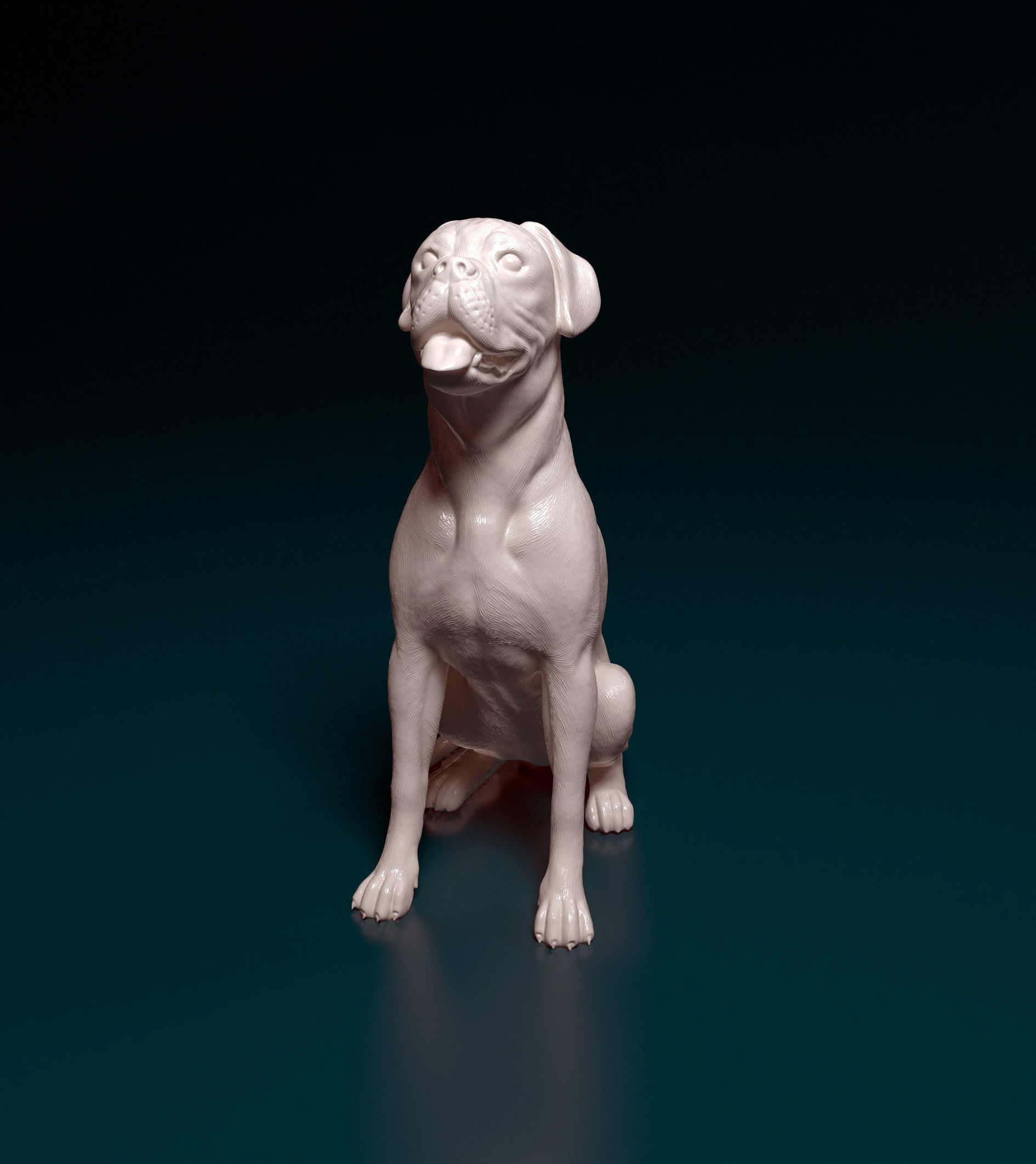 Boxer dog 3D print model_10