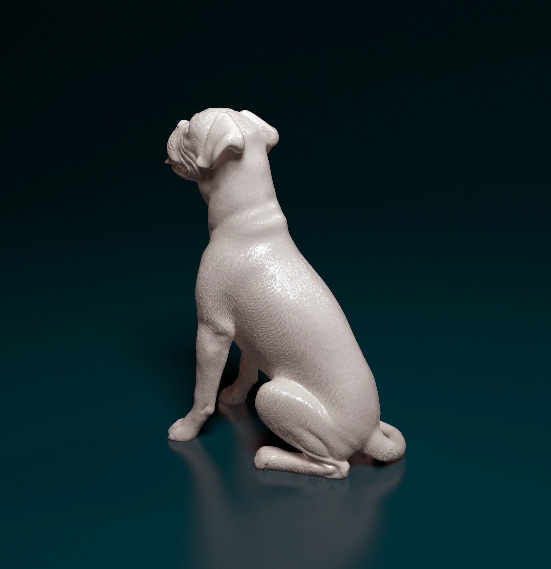 Boxer dog 3D print model_13