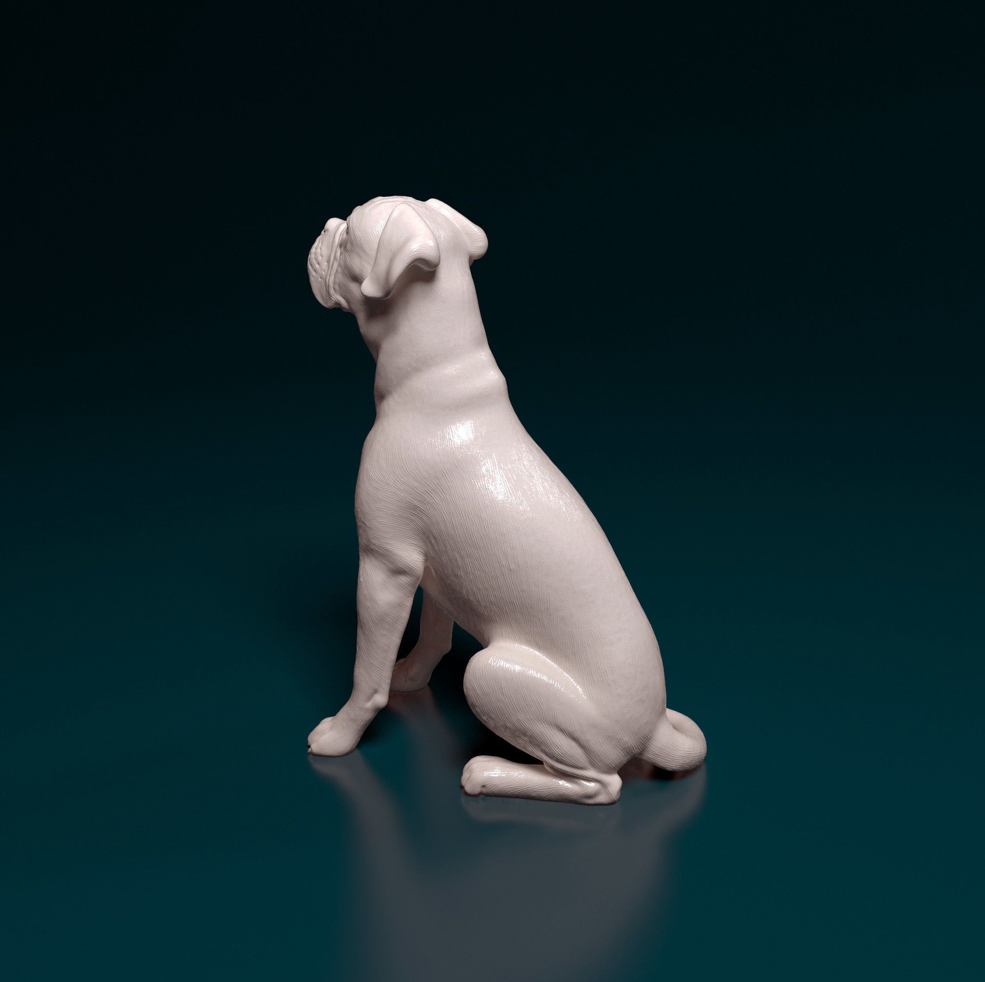 Boxer dog 3D print model_8