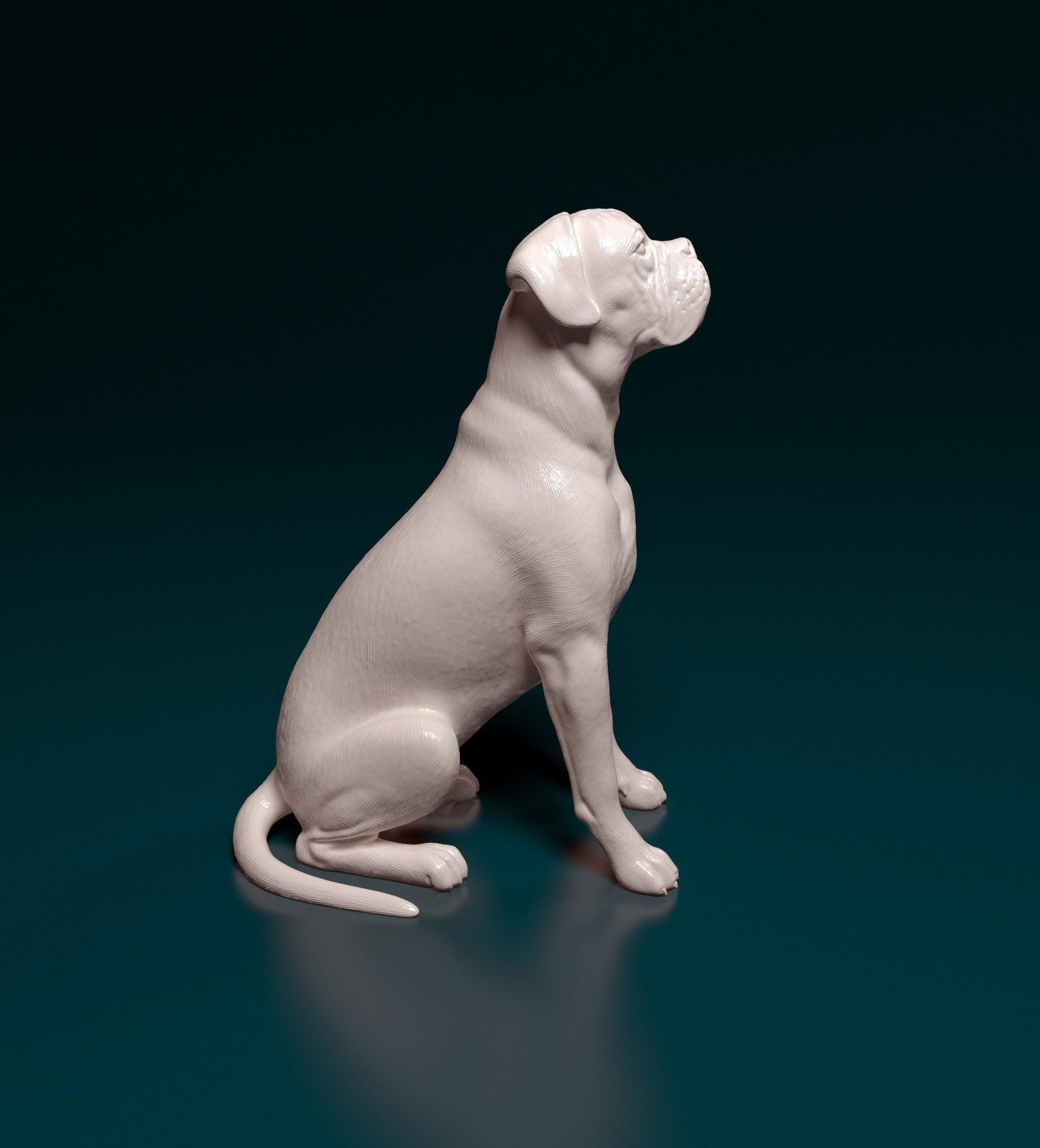 Boxer dog 3D print model_6