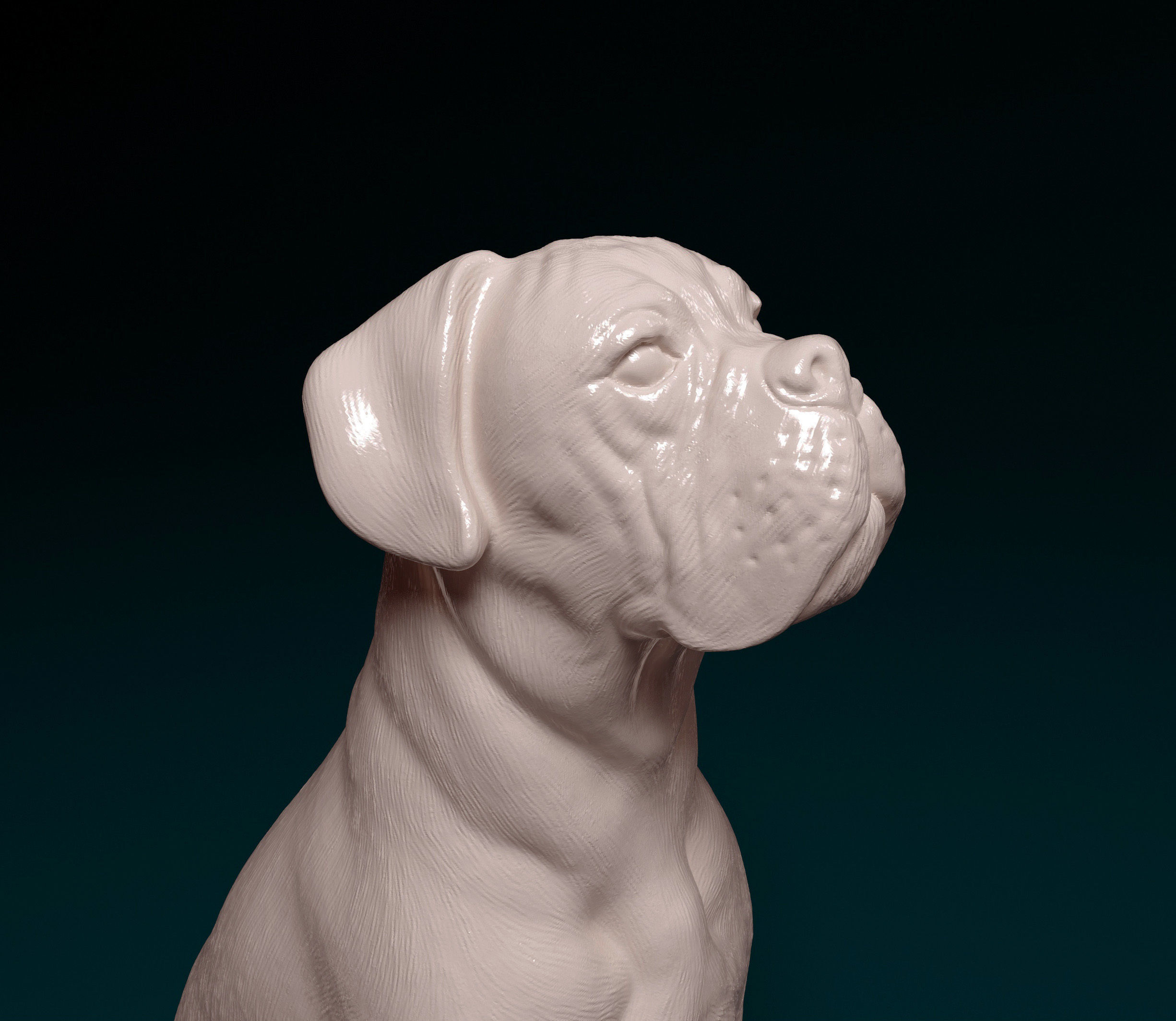 Boxer dog 3D print model_17