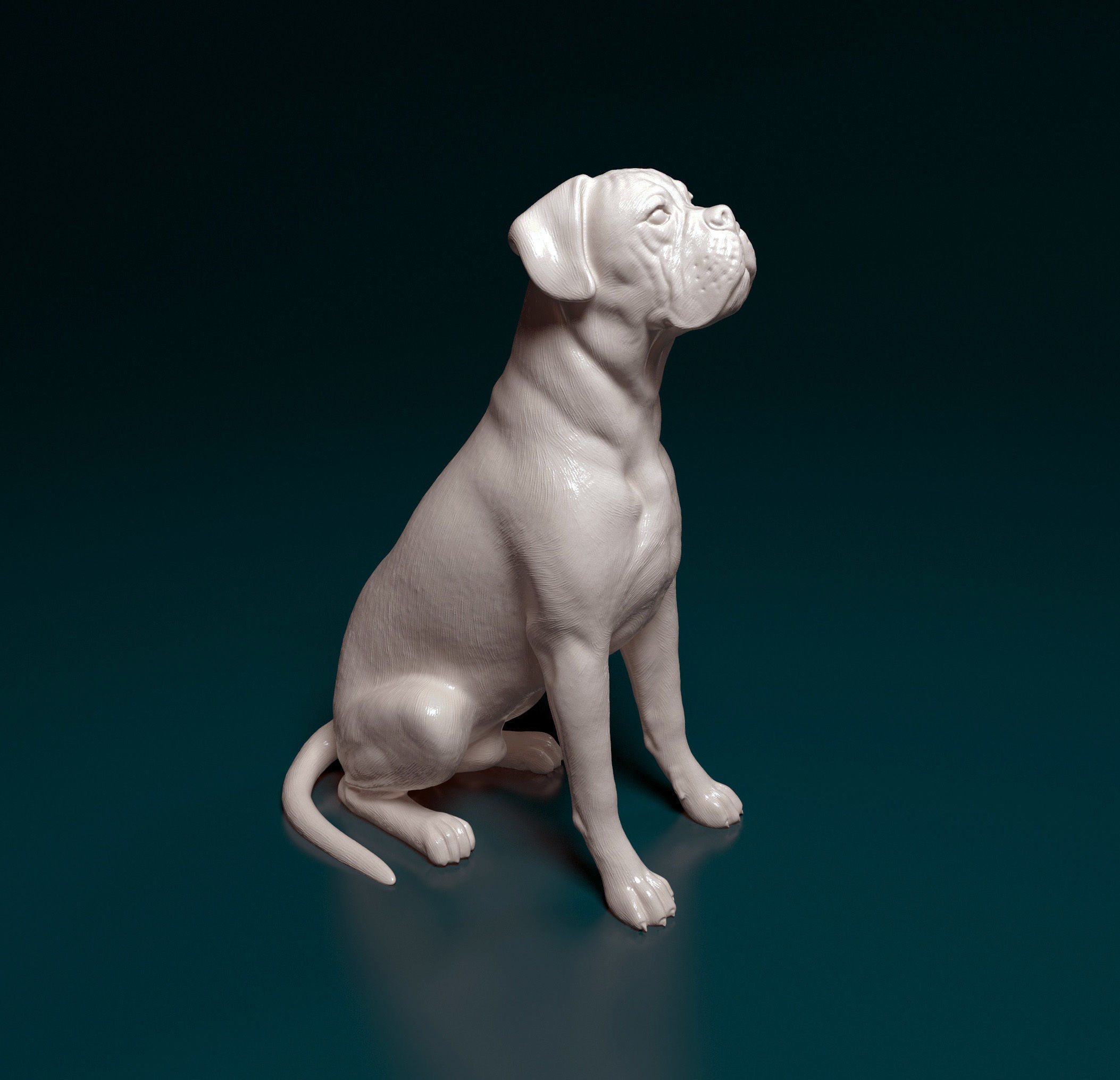 Boxer dog 3D print model_16