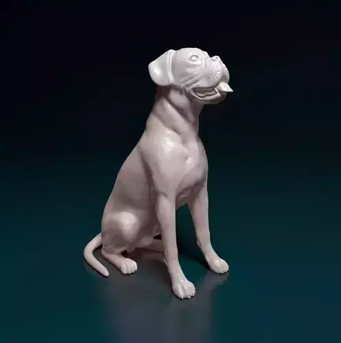 Boxer dog 3D print model