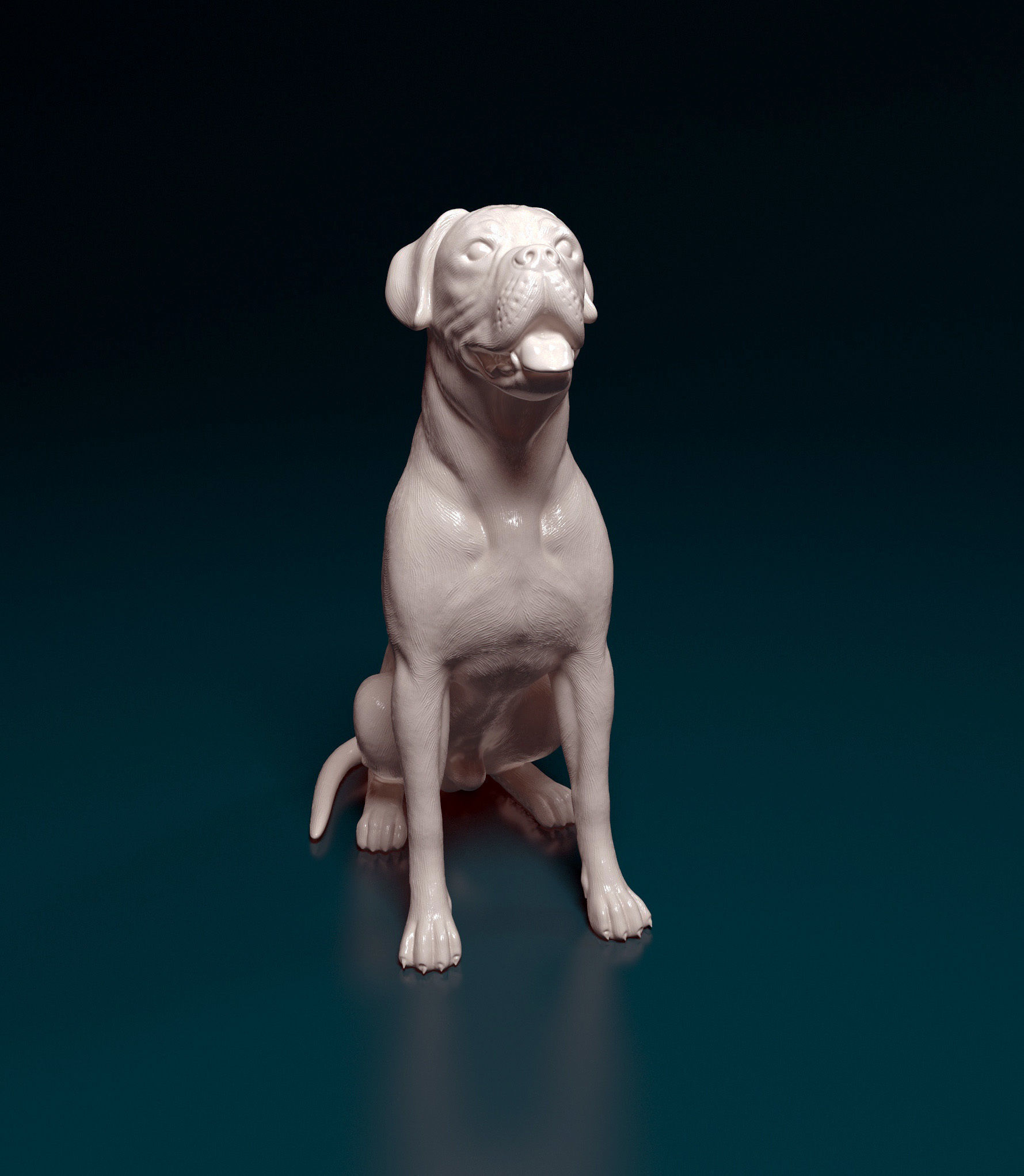 Boxer dog 3D print model_1