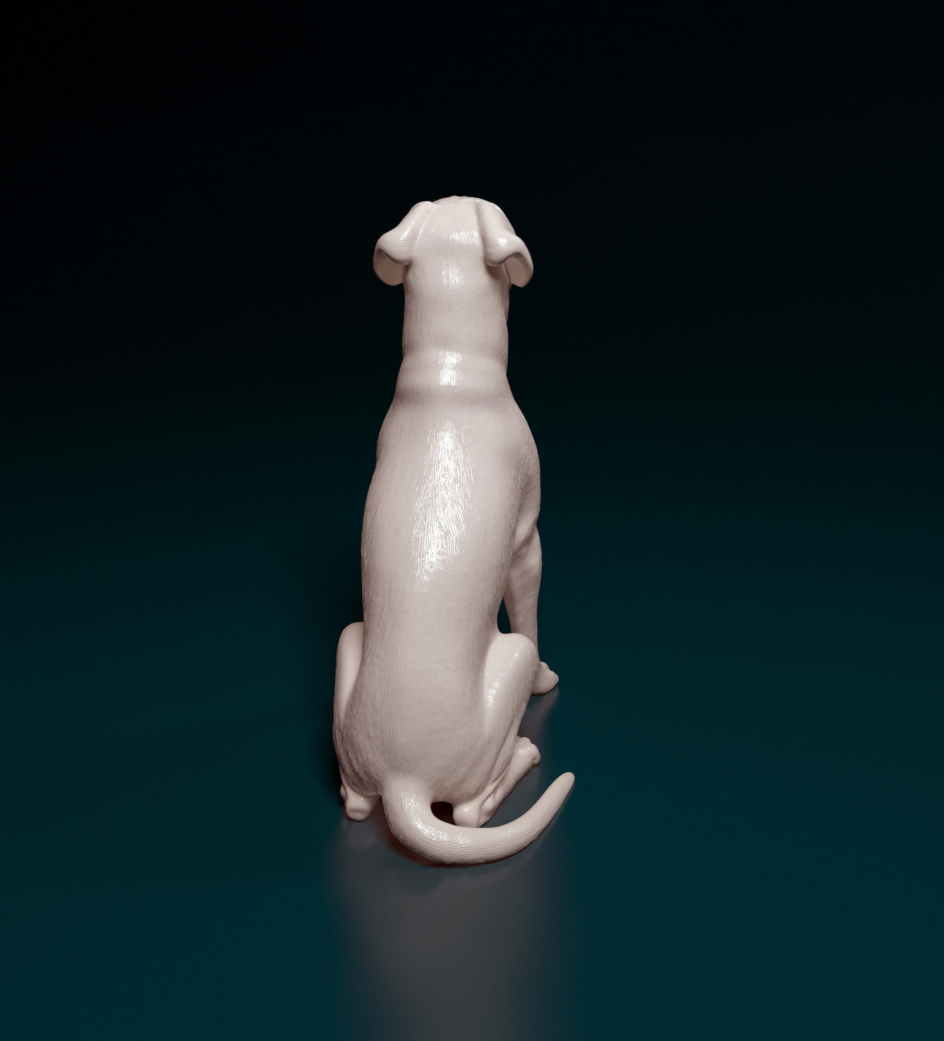 Boxer dog 3D print model_7
