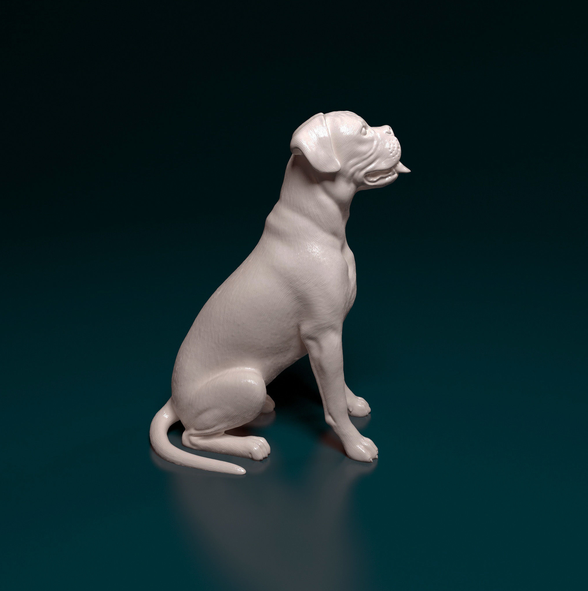 Boxer dog 3D print model_11