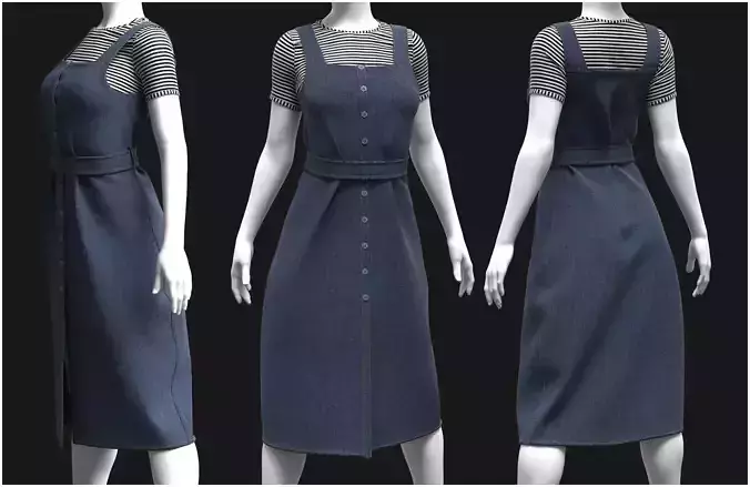 Female Denim Dress