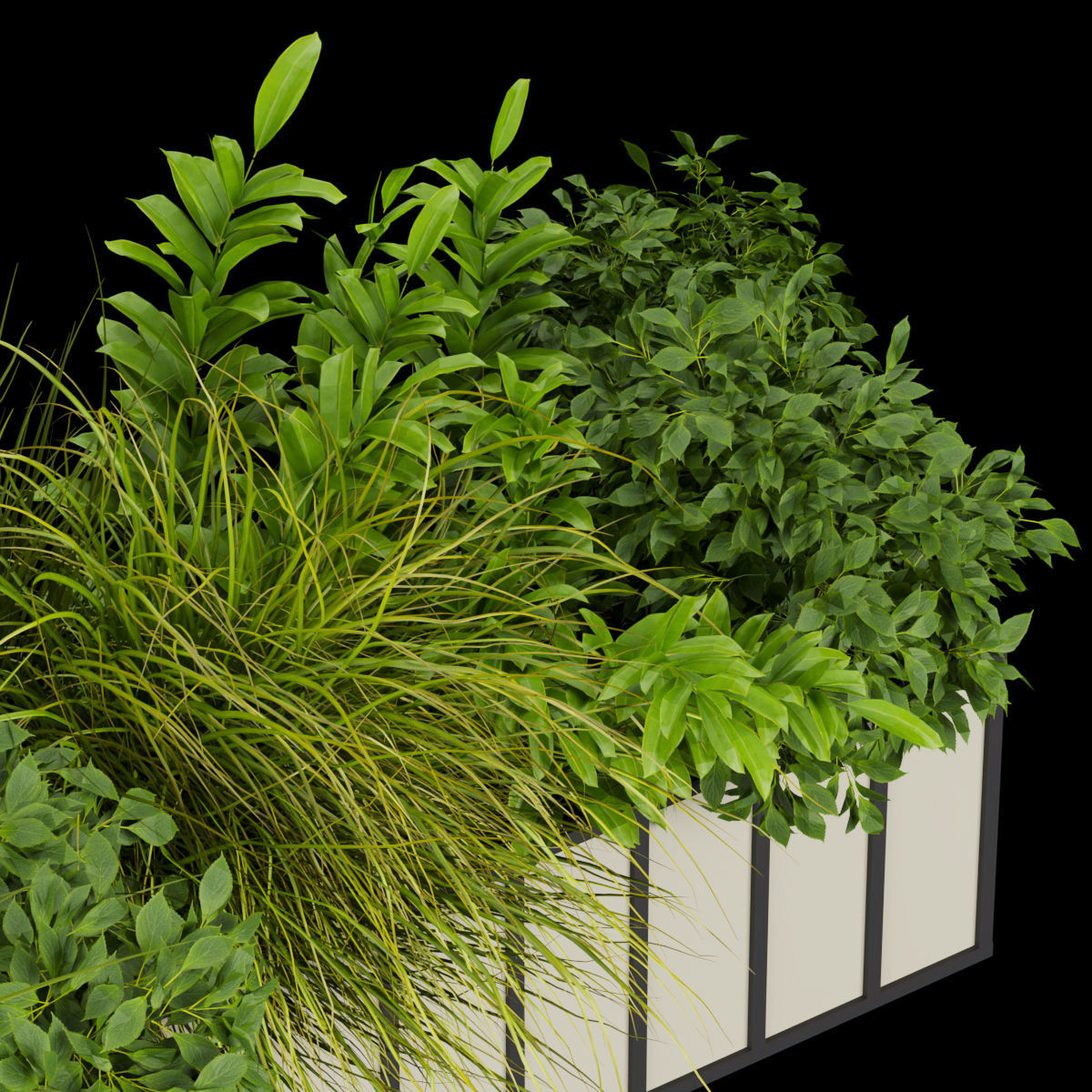 Collection plant vol 324 - indoor -leaf - grass 3D model_2