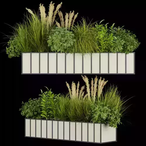Collection plant vol 324 - indoor -leaf - grass 3D model