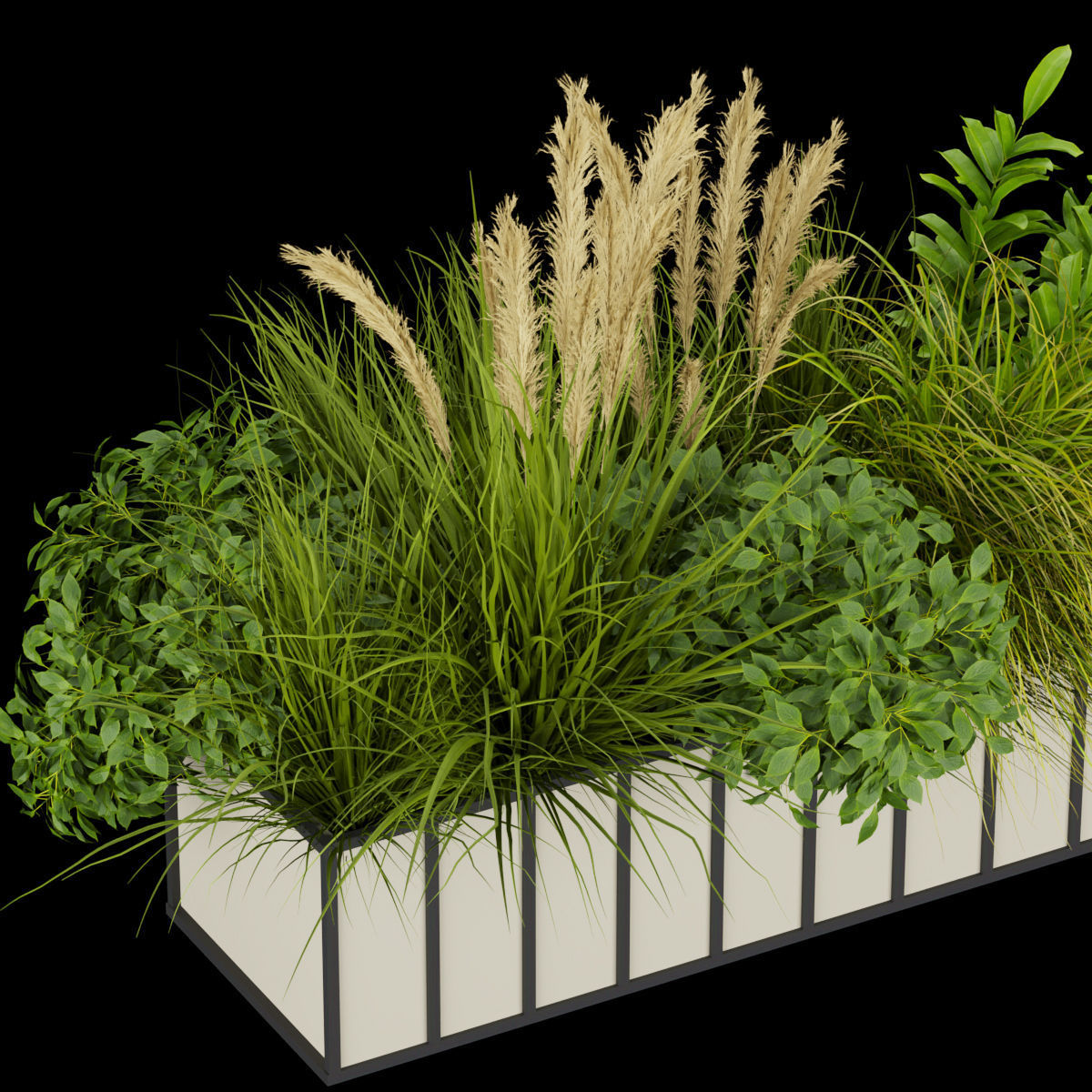 Collection plant vol 324 - indoor -leaf - grass 3D model_1