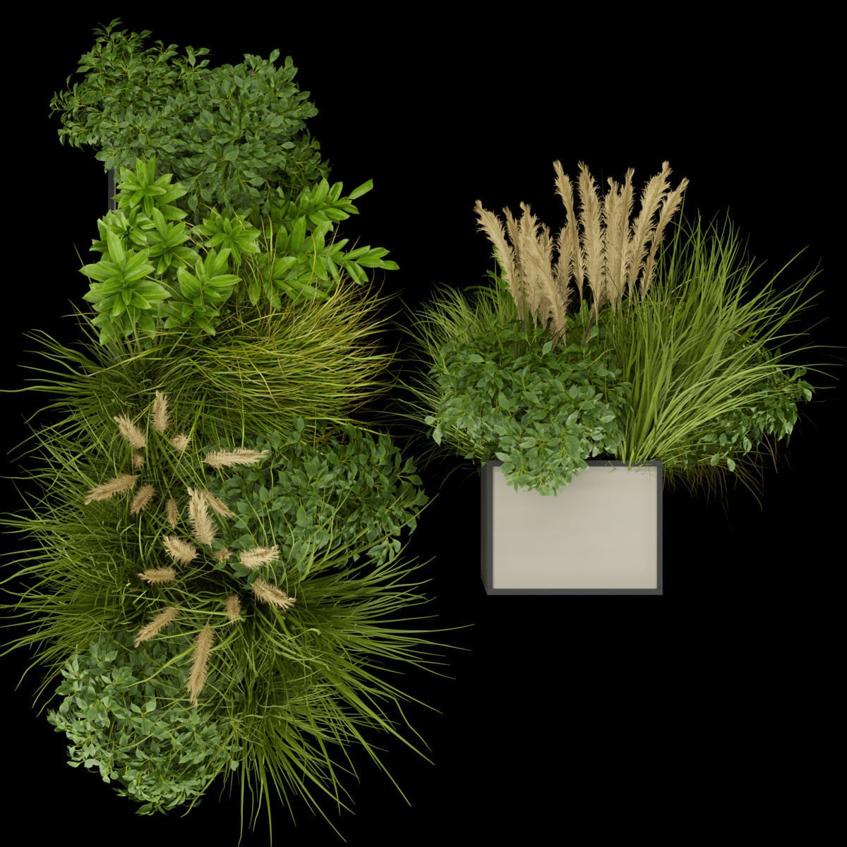 Collection plant vol 324 - indoor -leaf - grass 3D model_3