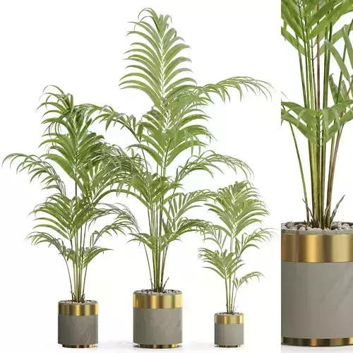 Plants collection 654