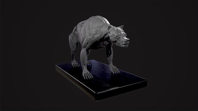 Bear Anatomy Ecorche  3D print model
